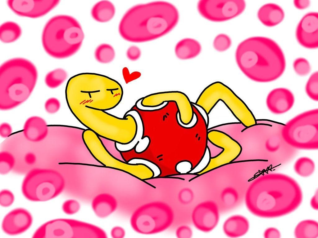 1030x770 A wild and Shuckle appeared!, Desktop