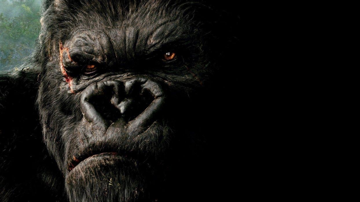 1250x700 Gorilla Wallpaper Image, Desktop