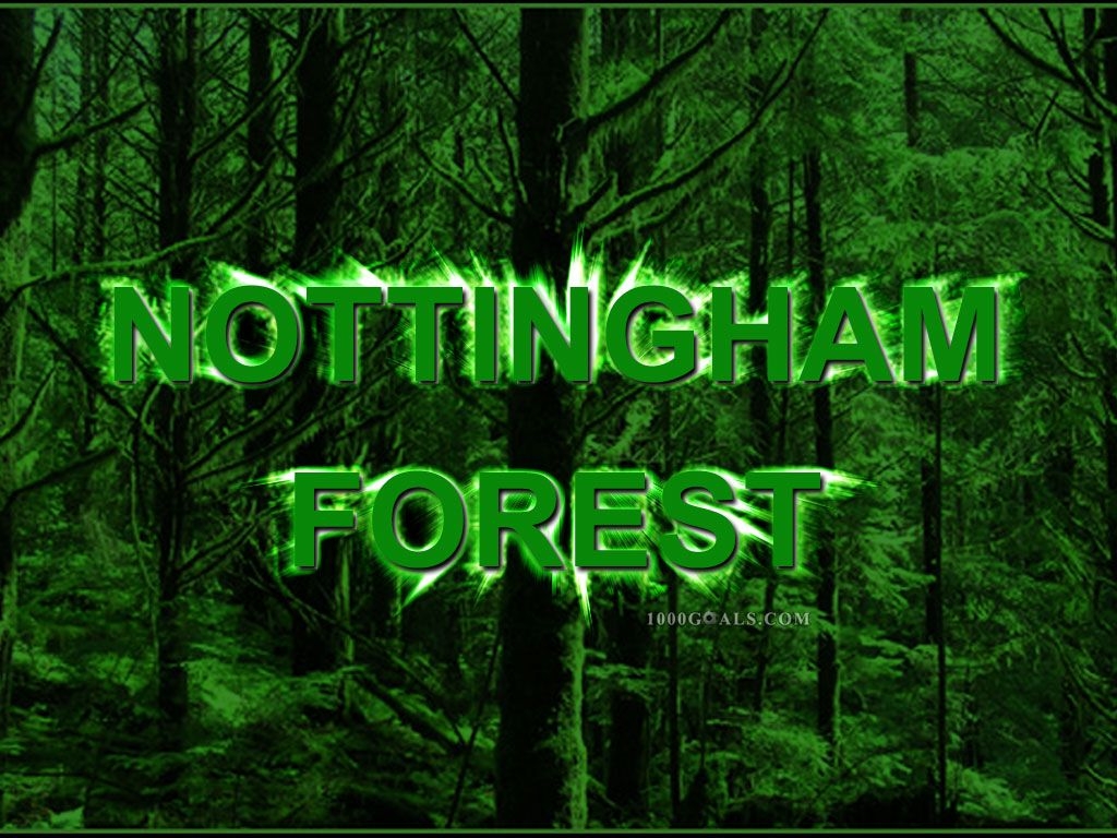 1030x770 Nottingham Forest FC wallpaper Goals, Desktop