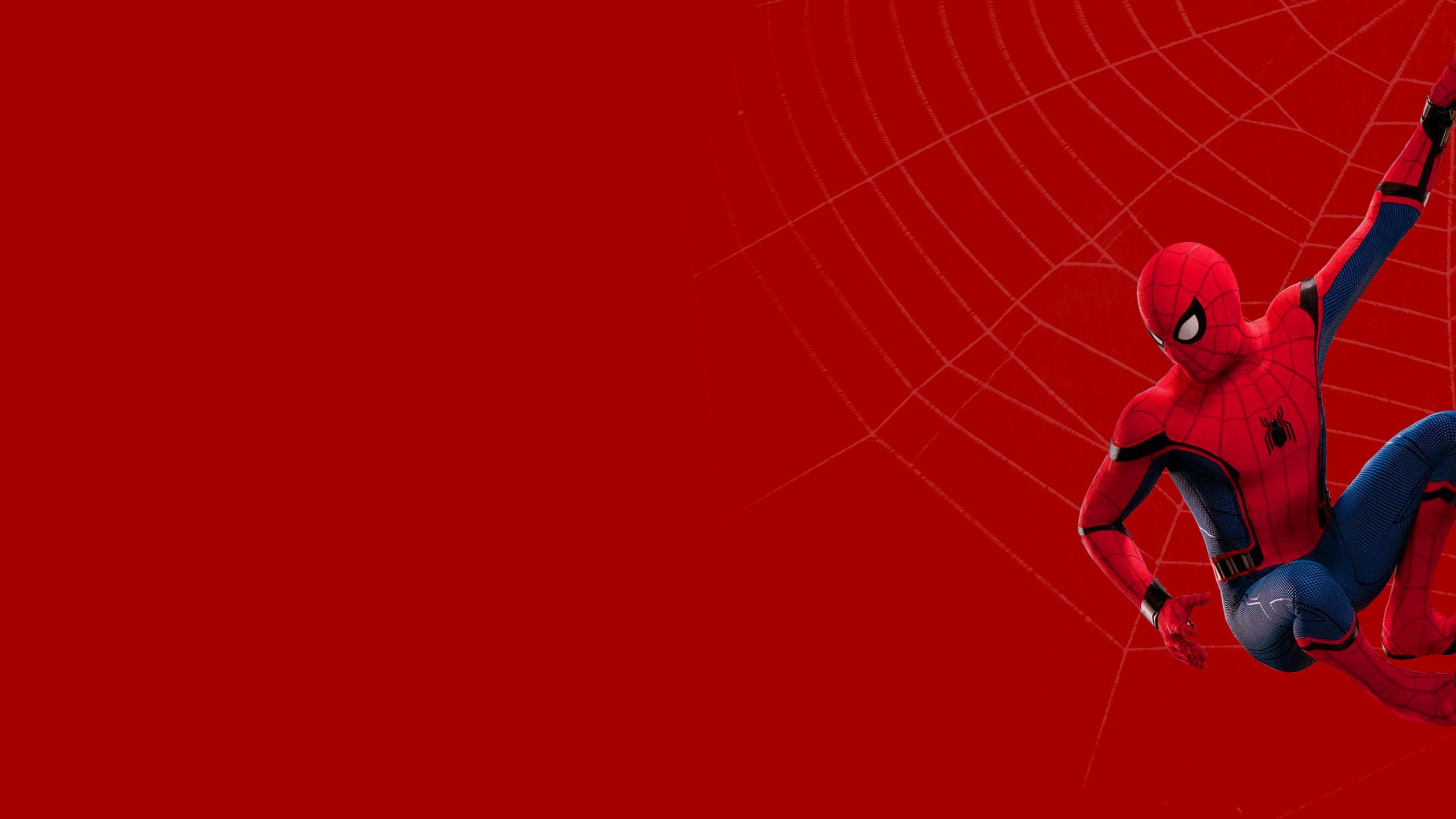 2560x1440 spiderman wallpaper 14, Desktop