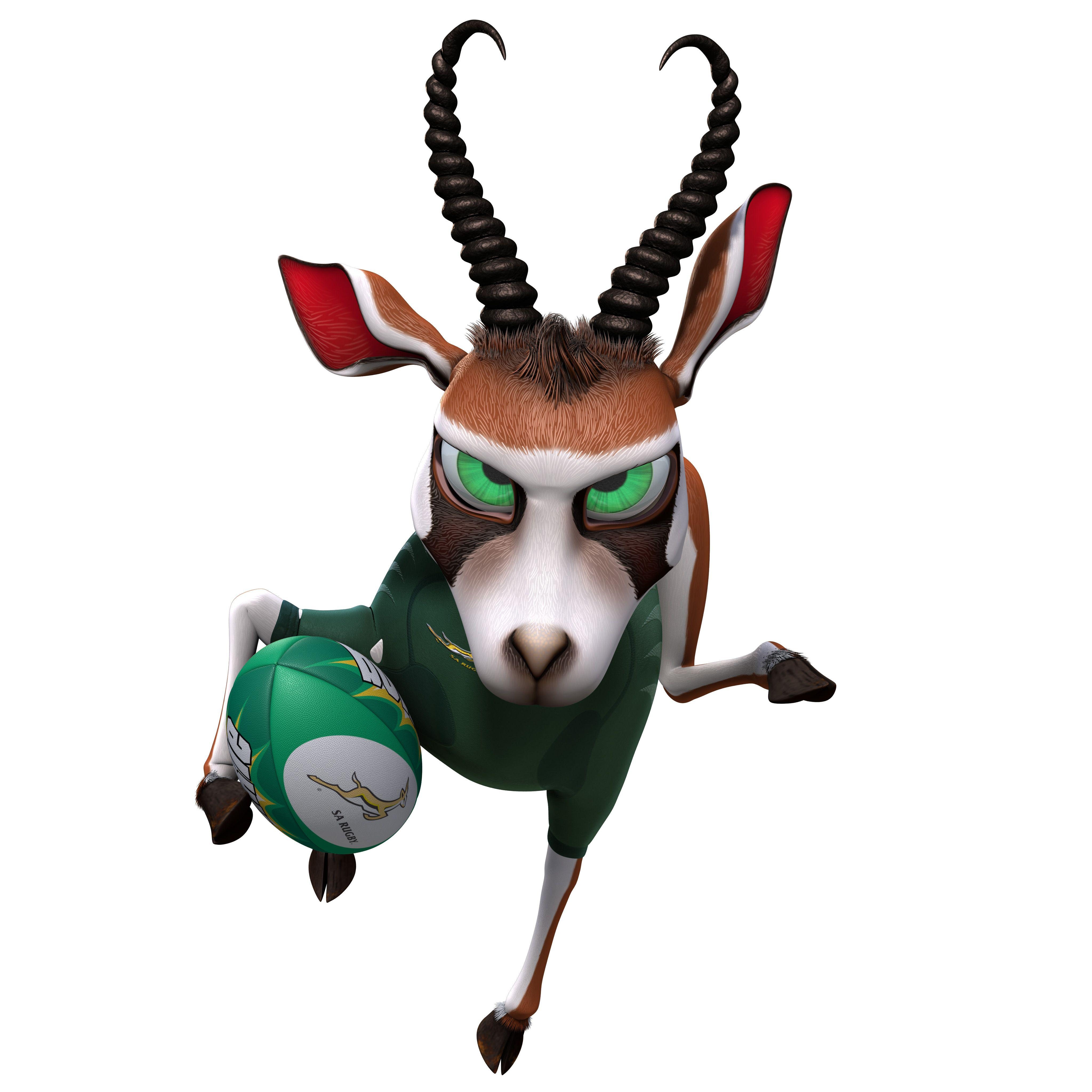 4100x4100 Springbok Rugby Wallpaper, Phone