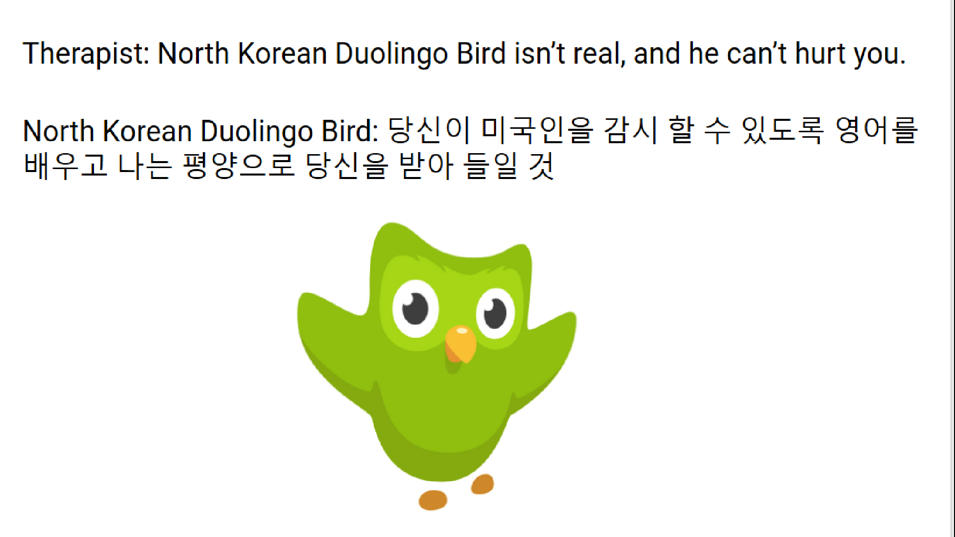 1920x1080 North Korean Duolingo Bird, Desktop