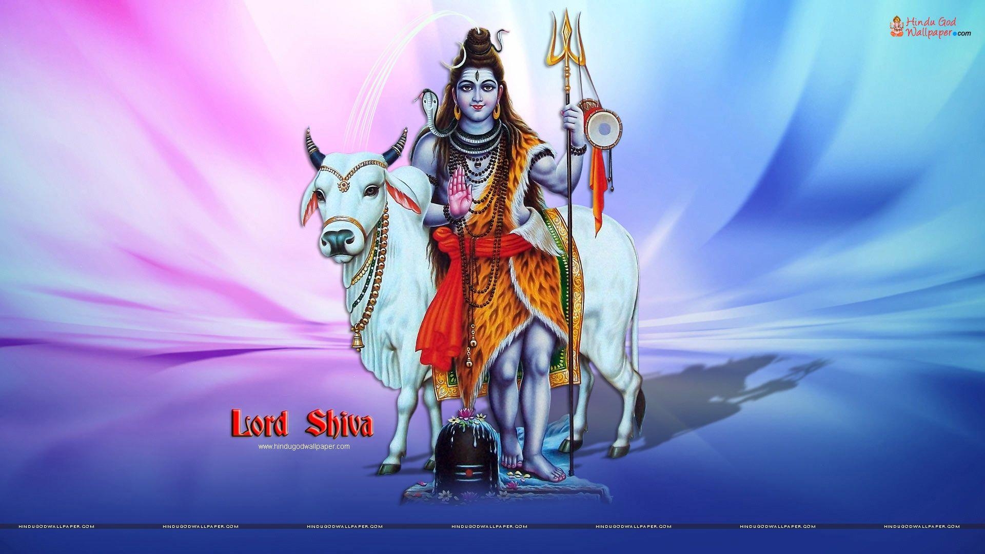 1920x1080 Angry Lord Shiva HD Wallpaper , free download, (46), Desktop