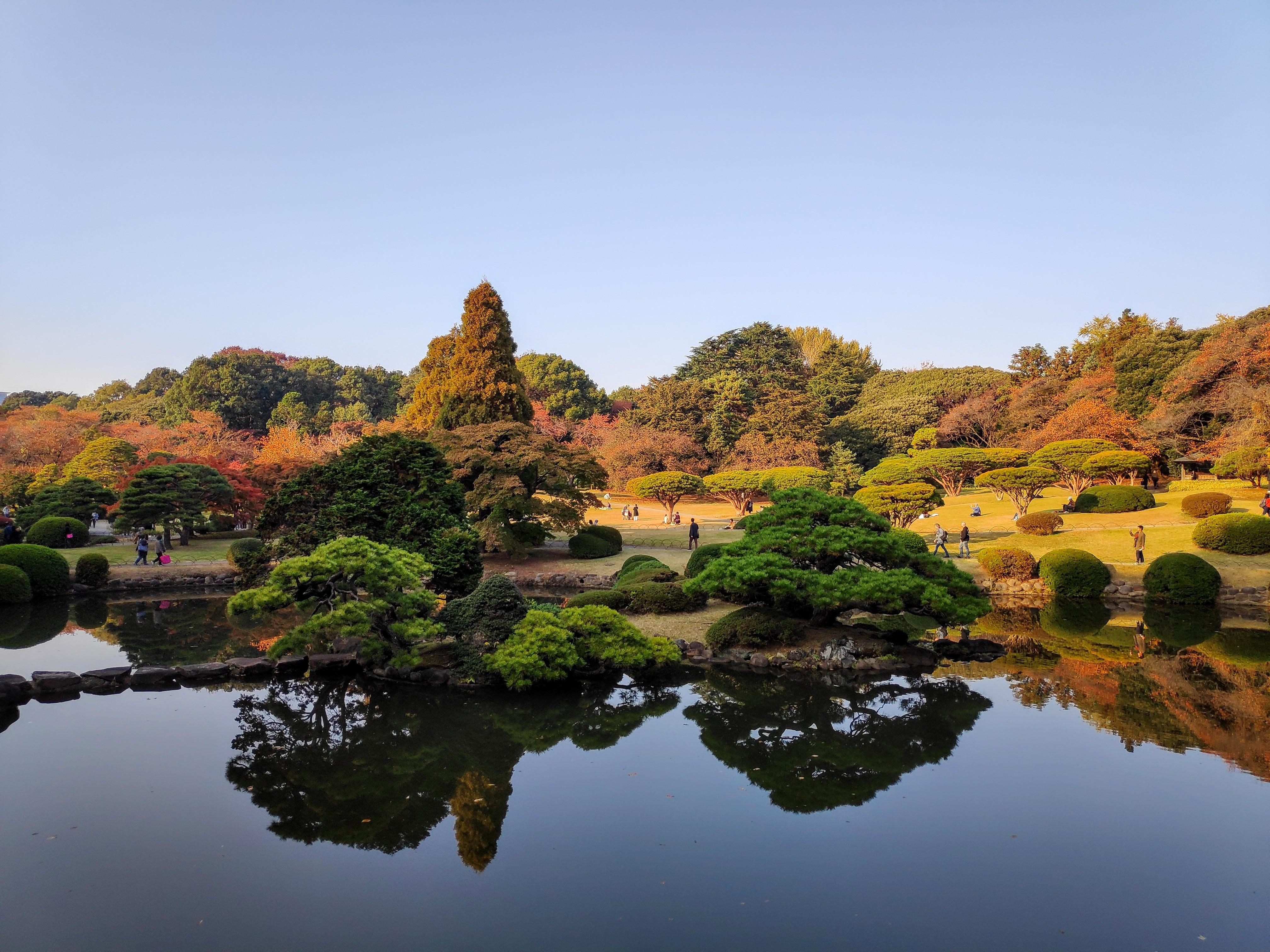 4040x3030 Shinjuku Gyoen National Garden, Desktop