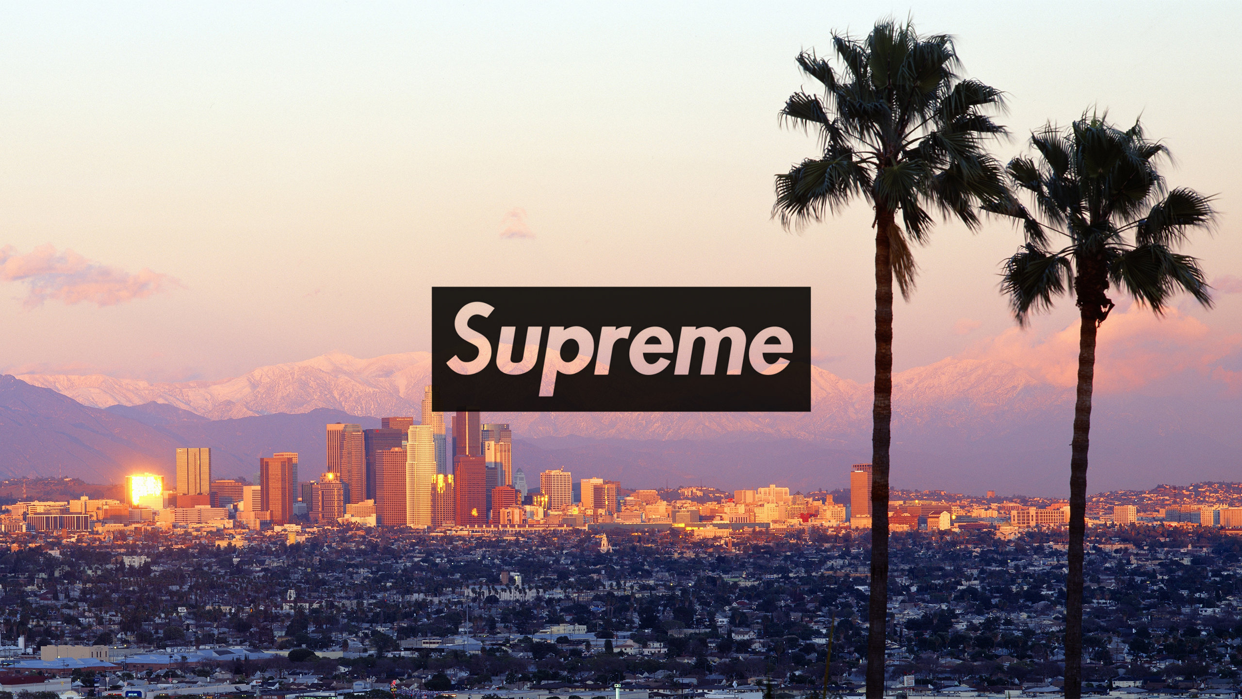 2560x1440 Supreme Wallpaper, Desktop