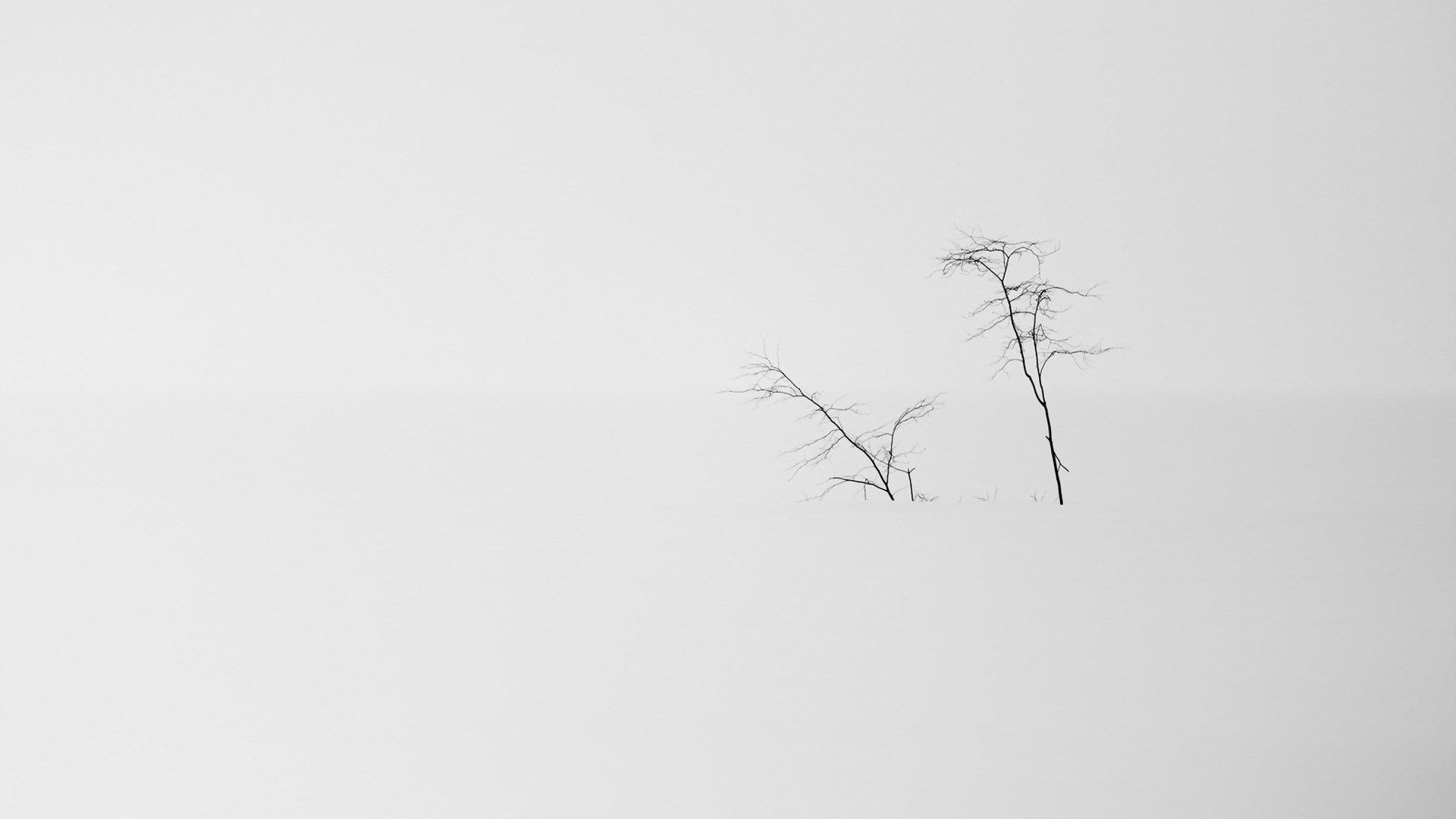 1920x1080 White Minimalist Wallpaper, Desktop