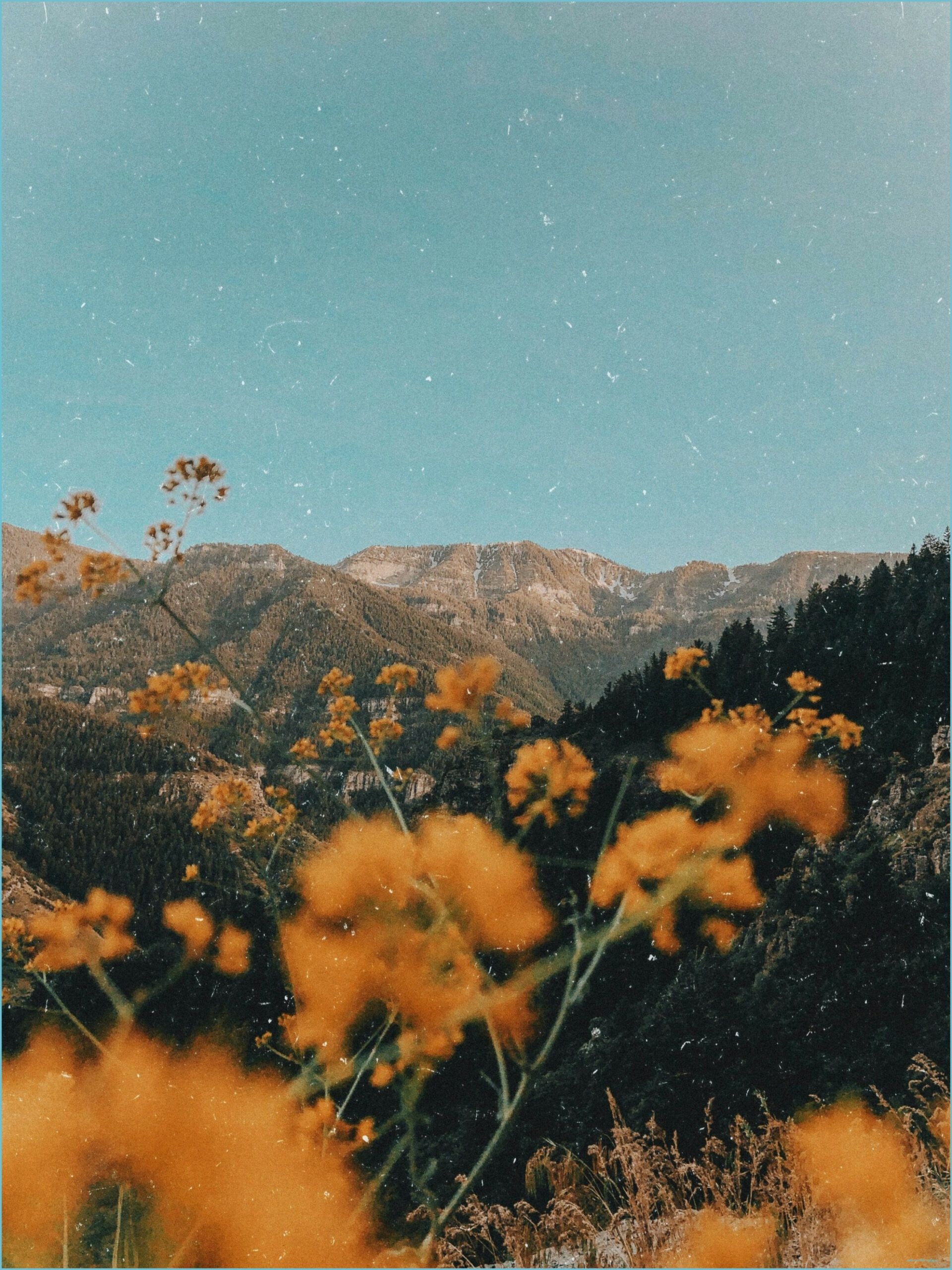 1920x2560 yellow dreams Aesthetic background, Landscape photography aesthetic wallpaper, Phone