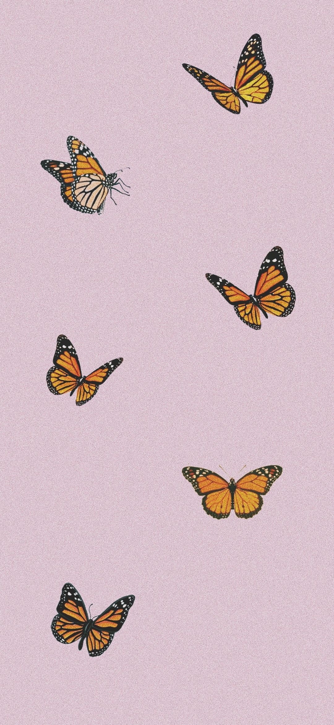 1080x2340 butterfly wallpaper iphone x big pink. Butterfly wallpaper iphone, Phone