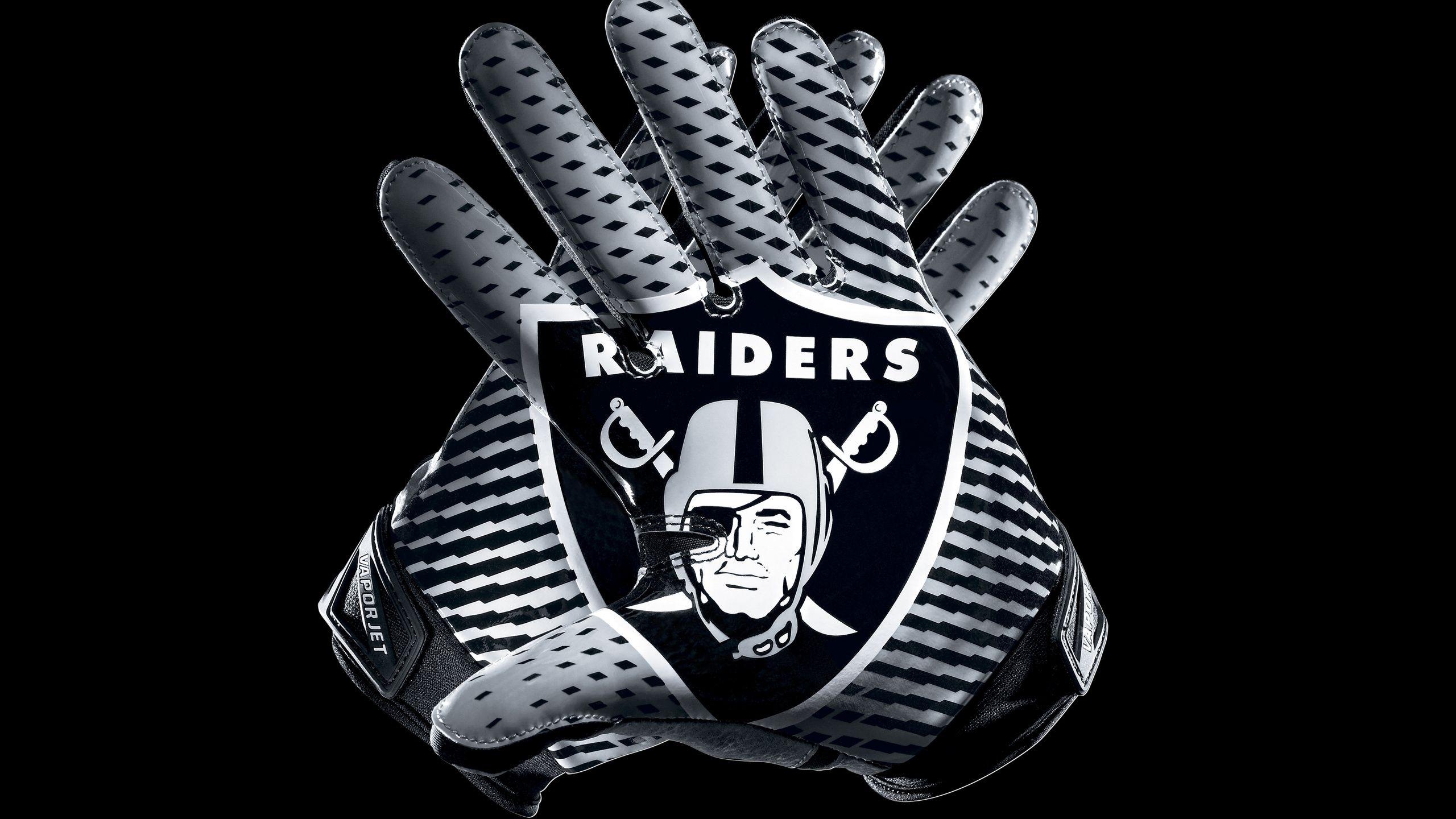 2560x1440 HD Raiders Wallpaper, Desktop