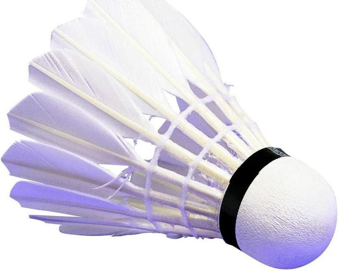 1130x900 Badminton Wallpaper Apps on Google Play, Desktop