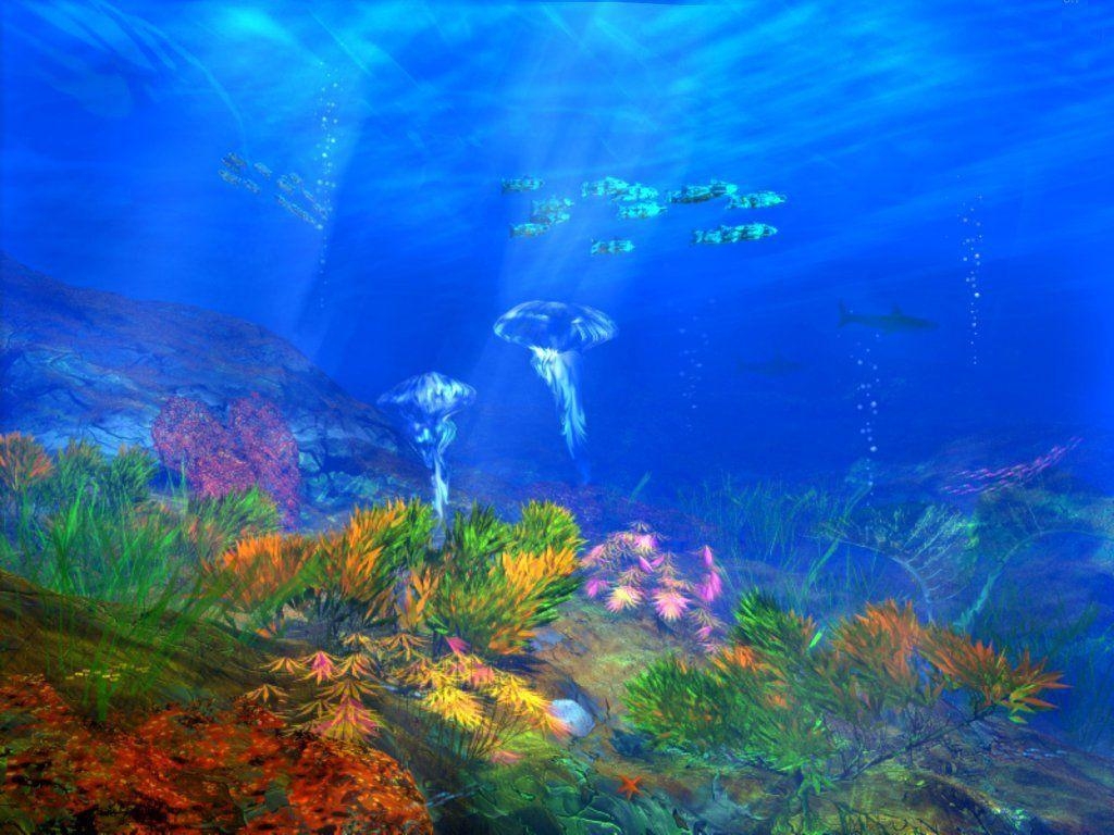 1030x770 image about Under the Sea. Ocean, Dolphins, Desktop