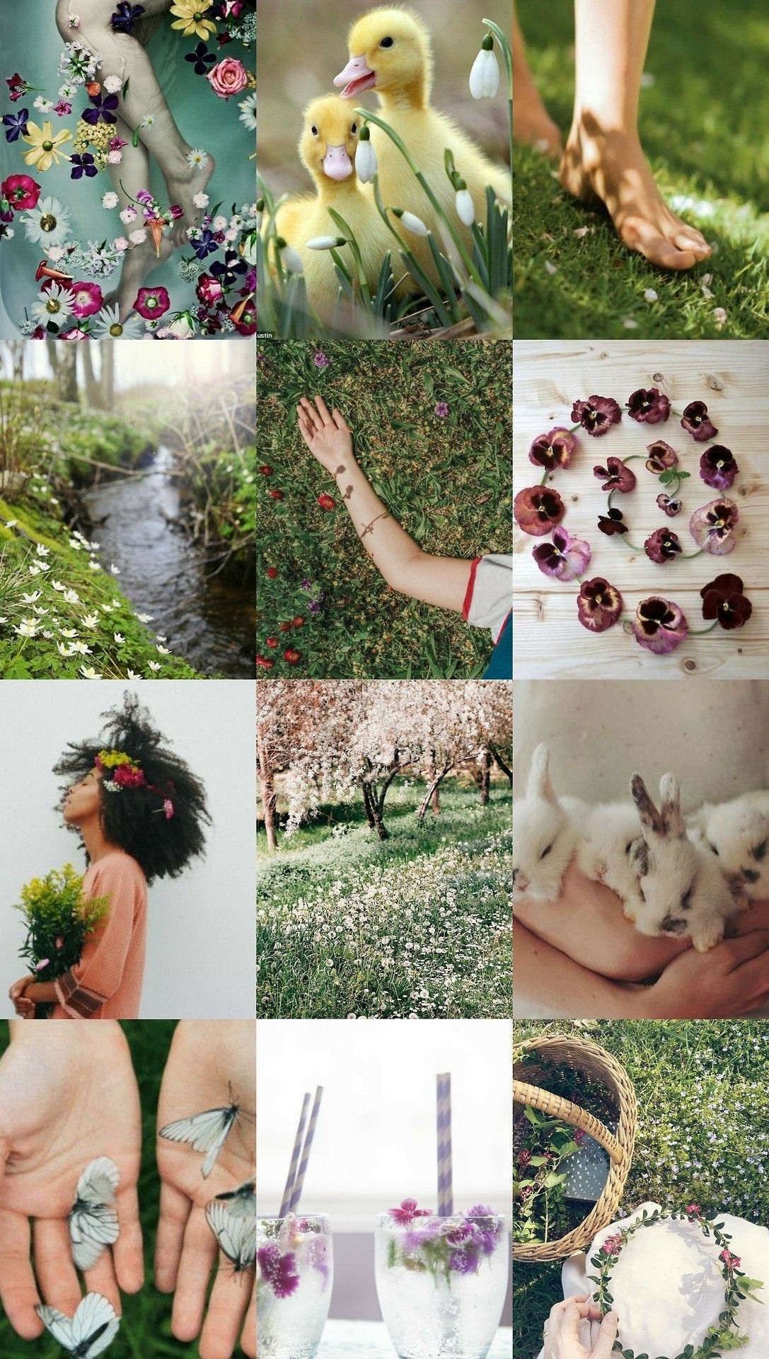 1090x1920 Spring Equinox aesthetic. Spring aesthetic, Spring wallpaper, Witch spring, Phone