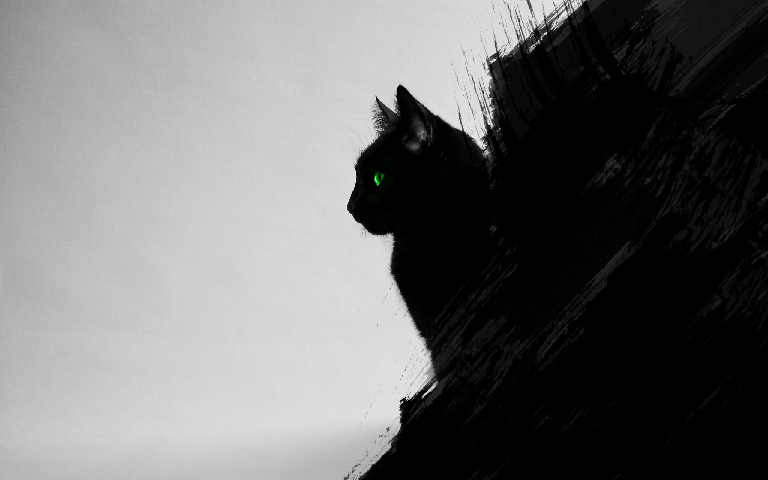 2560x1600 Cute Black Cat Halloween Desktop Background_hd, Desktop