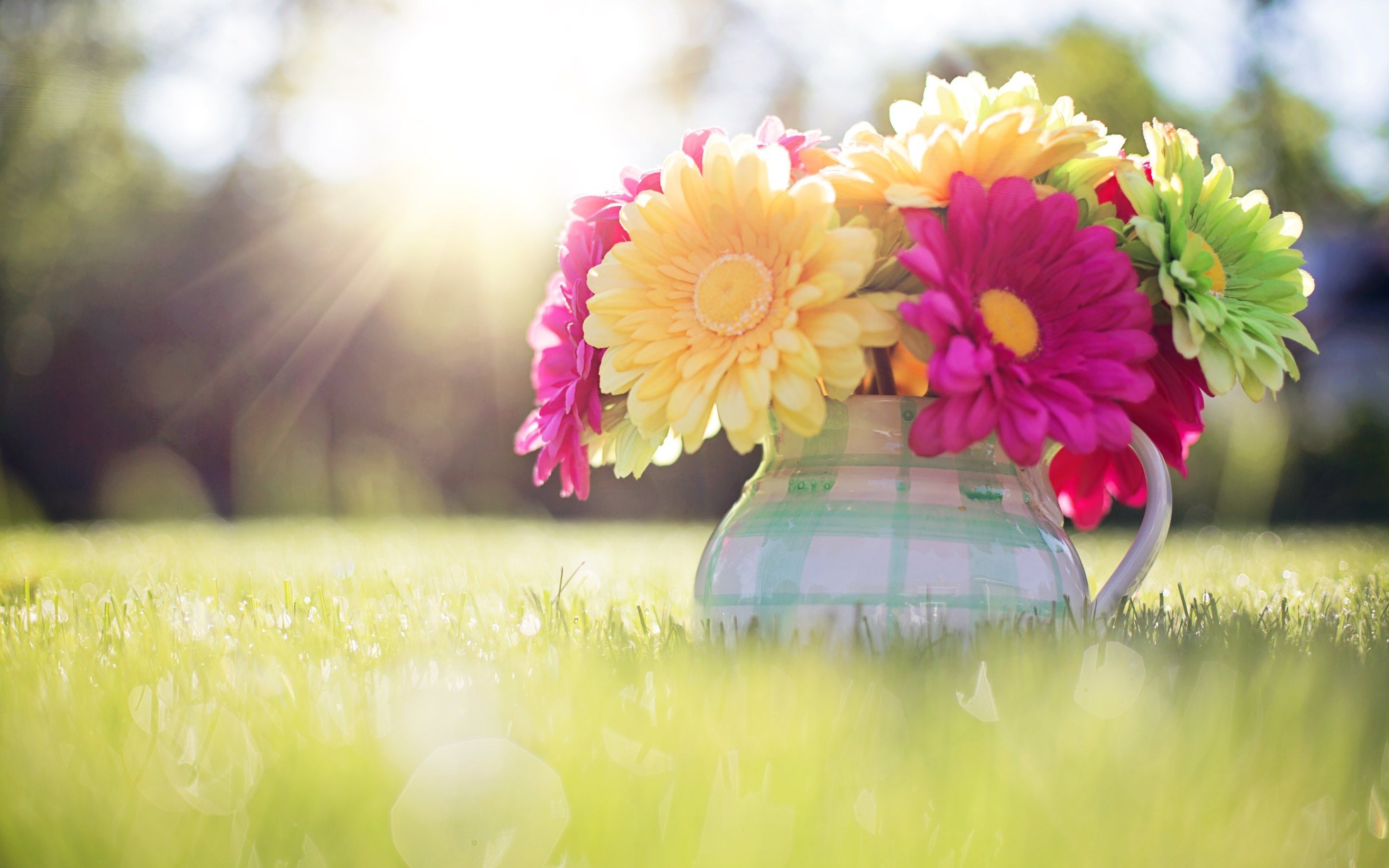 2880x1800 Spring Wallpaper Free Spring Background, Desktop