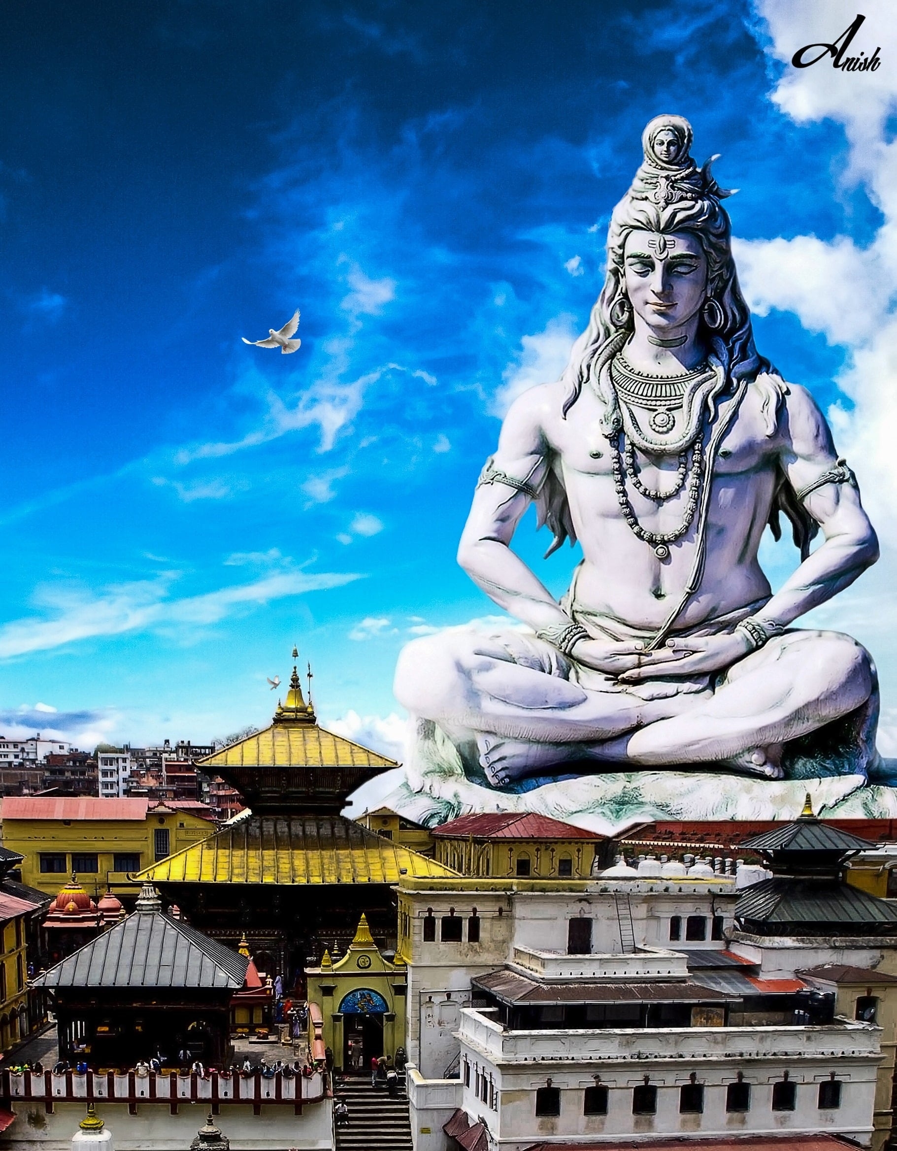 1830x2340 Mahadev photo Wallpaper Download, Phone