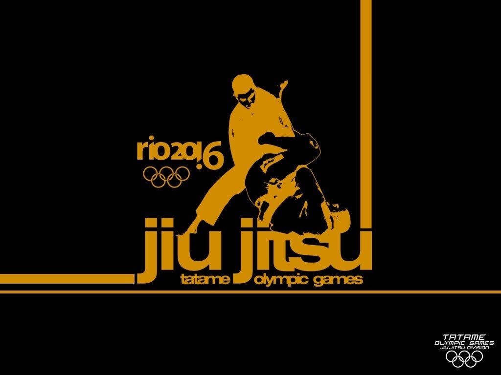 1030x770 Jiu Jitsu Wallpaper HD, Desktop