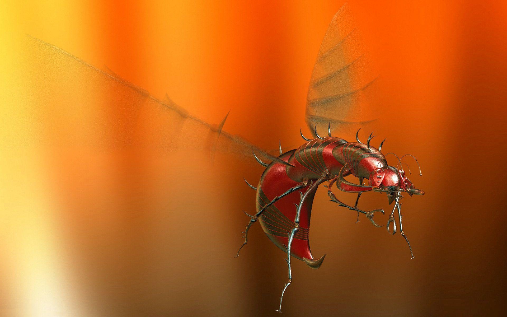 1920x1200 aluminum mosquito Full HD Wallpaper and Backgroundx1200, Desktop