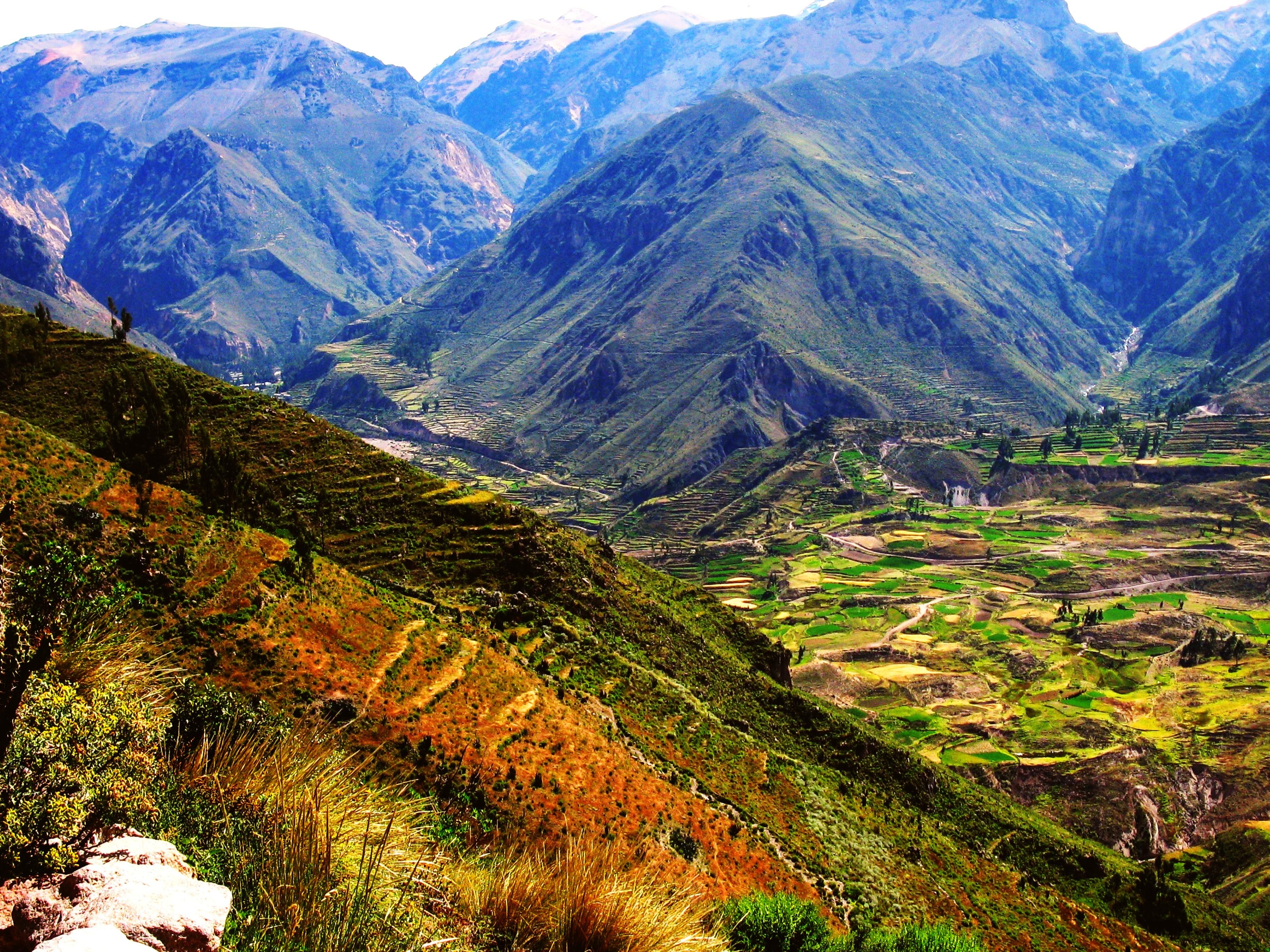 3650x2740 Colca Canyon Full Day - Peru Breathtaking Trips - Peru Tours, Desktop