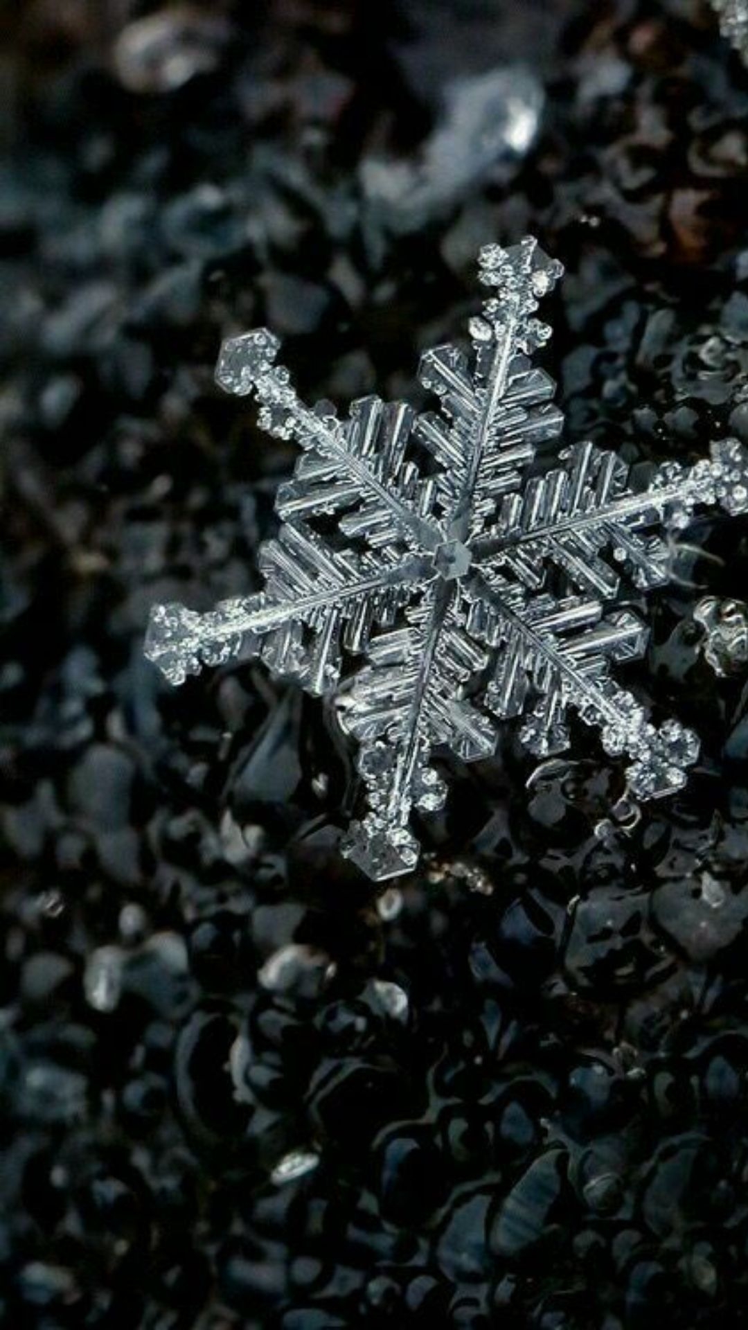 1080x1920 Snowflake Wallpaper Snowflake Background Download, Phone