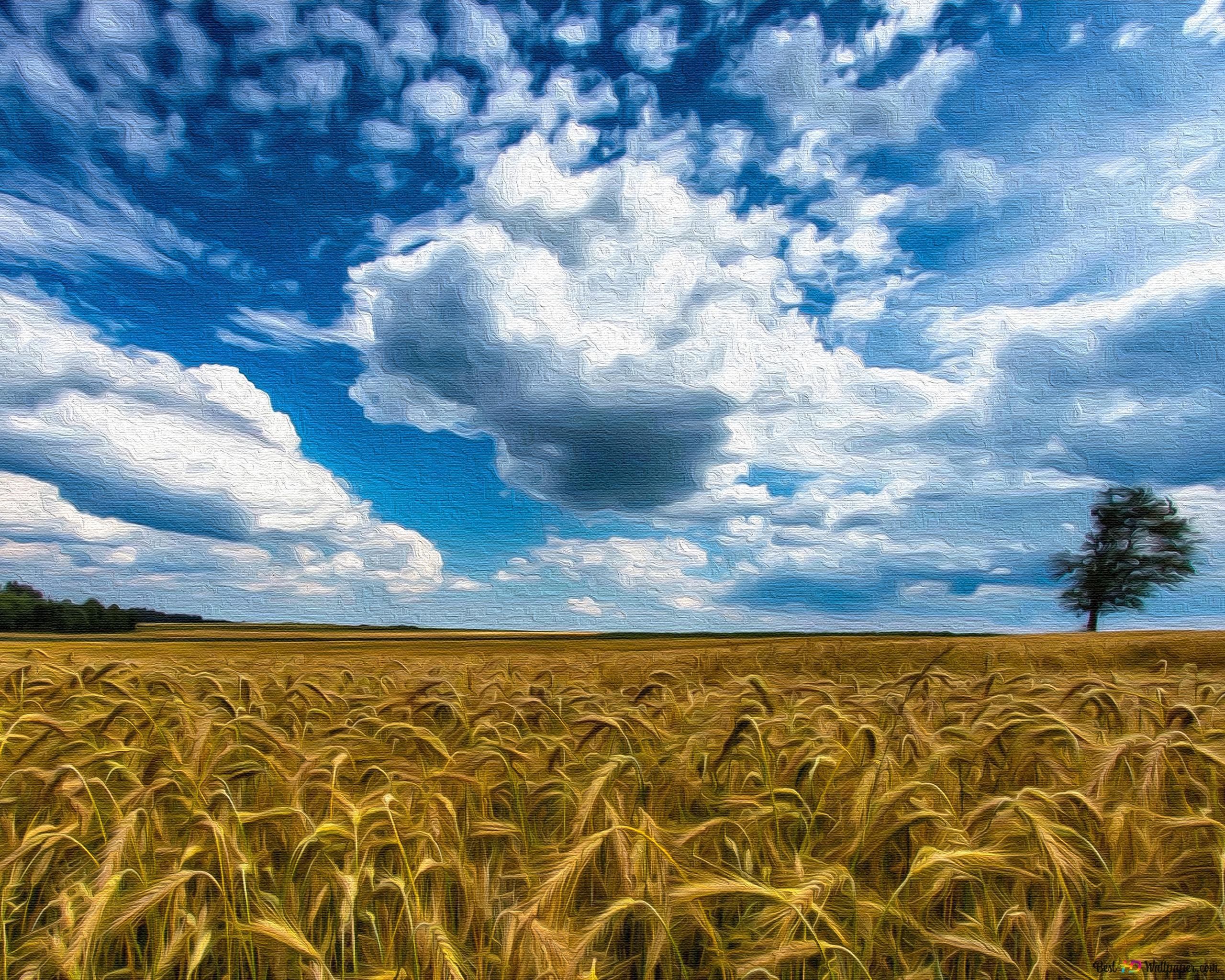 2560x2050 Wheat field on canvas 4K wallpaper download, Desktop