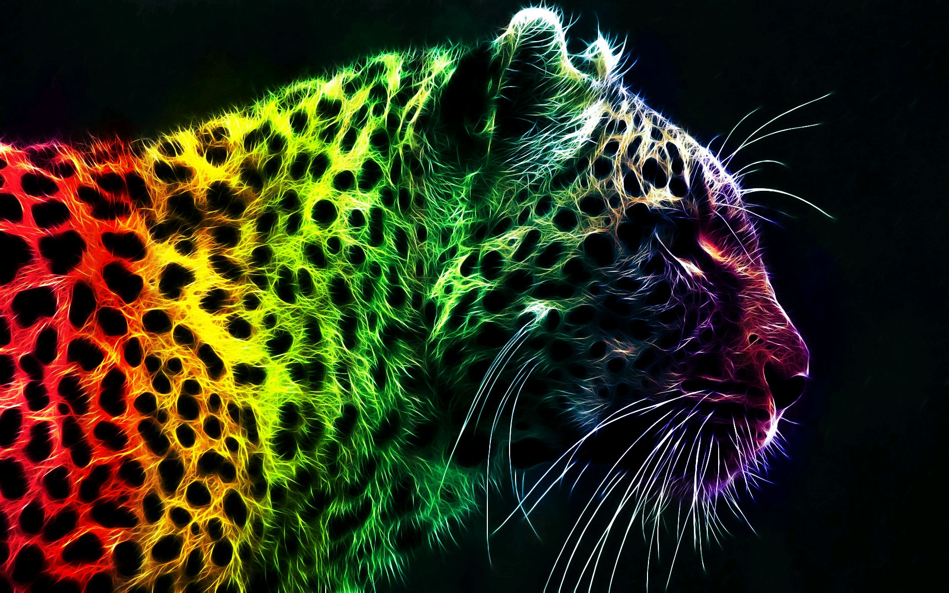 1920x1200 Colorful Cheetah Wallpaper, Desktop