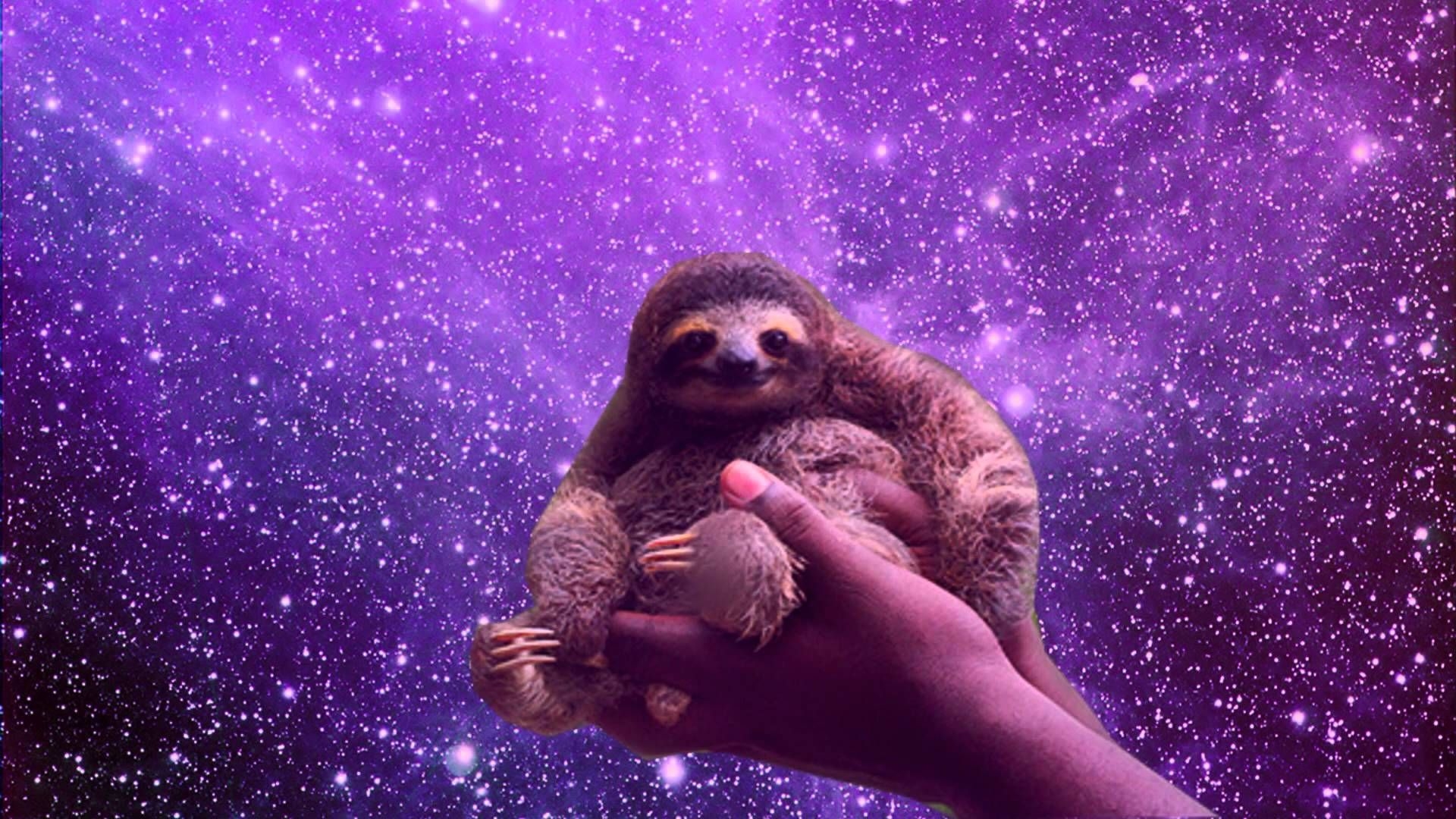 1920x1080 sloths in space.com, Desktop