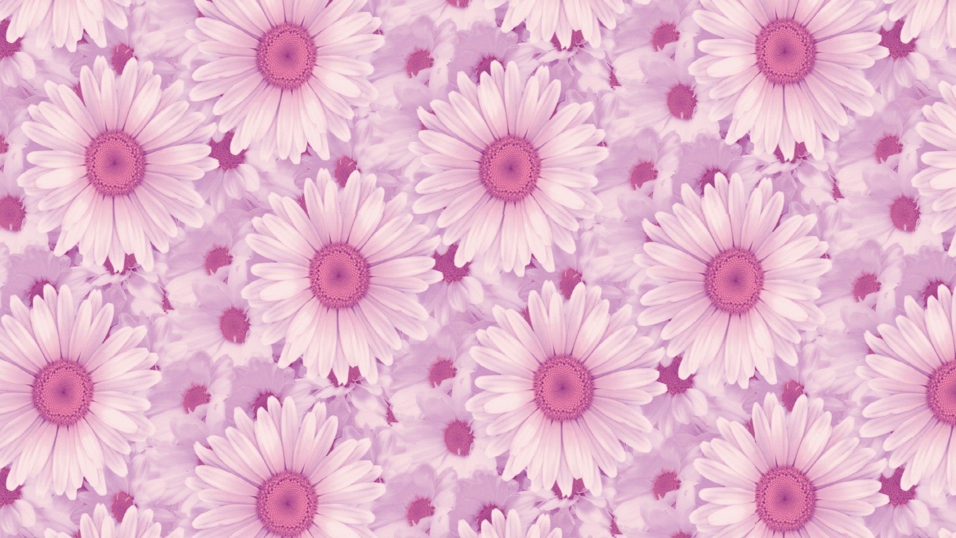 1920x1080 Pink Aesthetic Tumblr Desktop Wallpaper Free Pink Aesthetic, Desktop