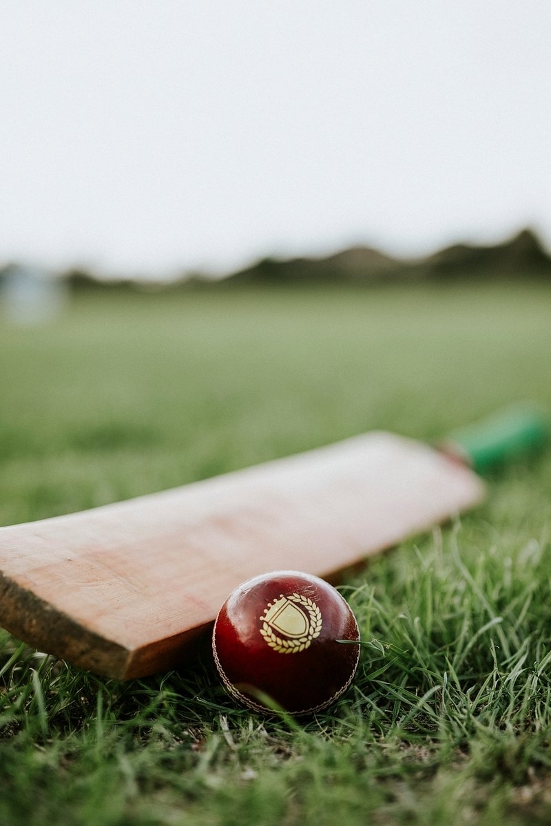 800x1200 Cricket Image. Free Photo, PNG, Phone