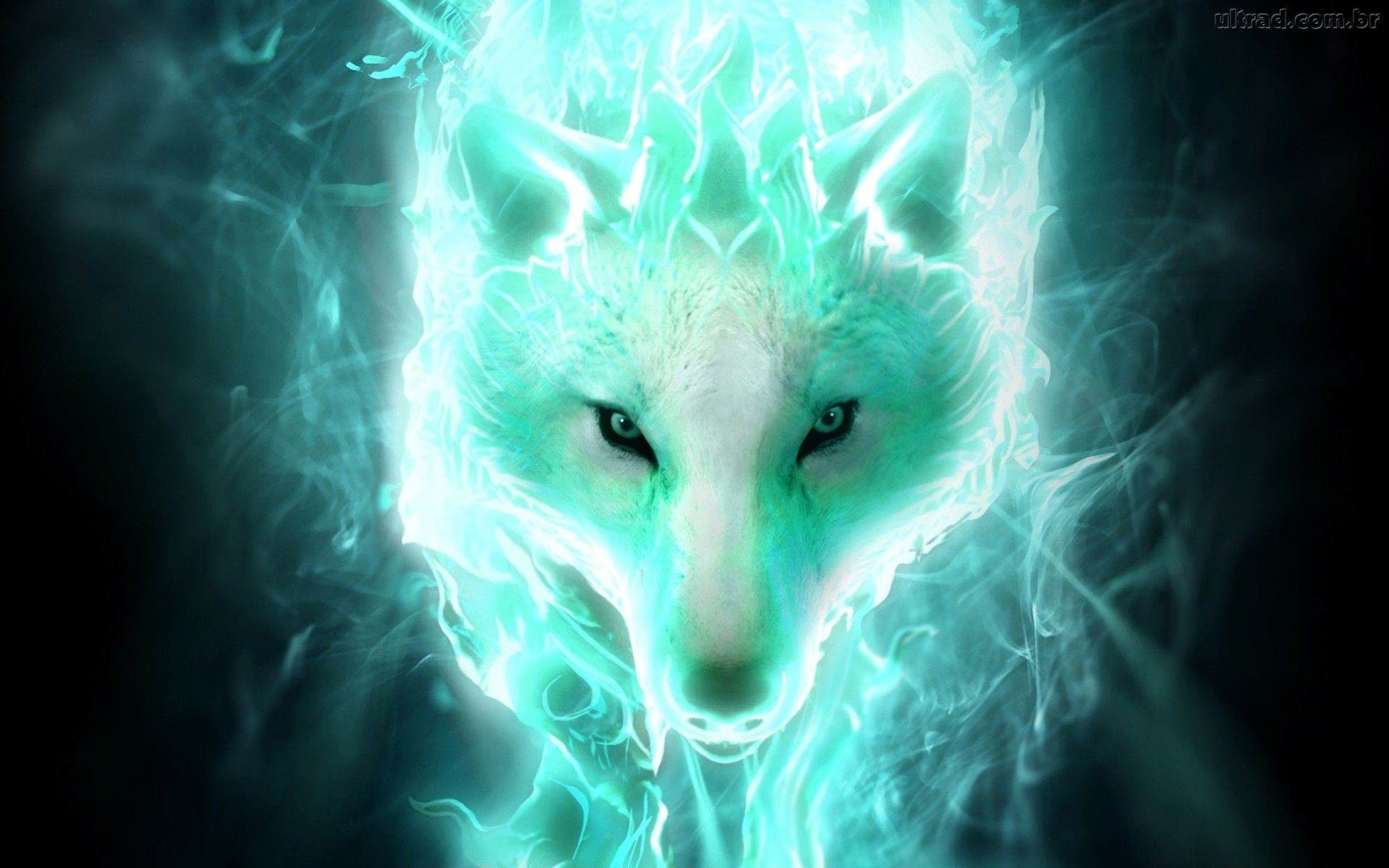 1920x1200 Super Cool Wolf Wallpaper Free Super Cool Wolf Background, Desktop