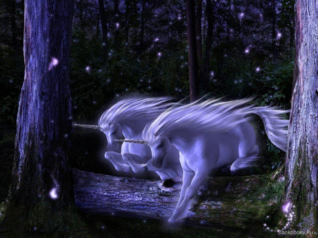 1030x770 Pix For > Mythical Creatures Wallpaper, Desktop