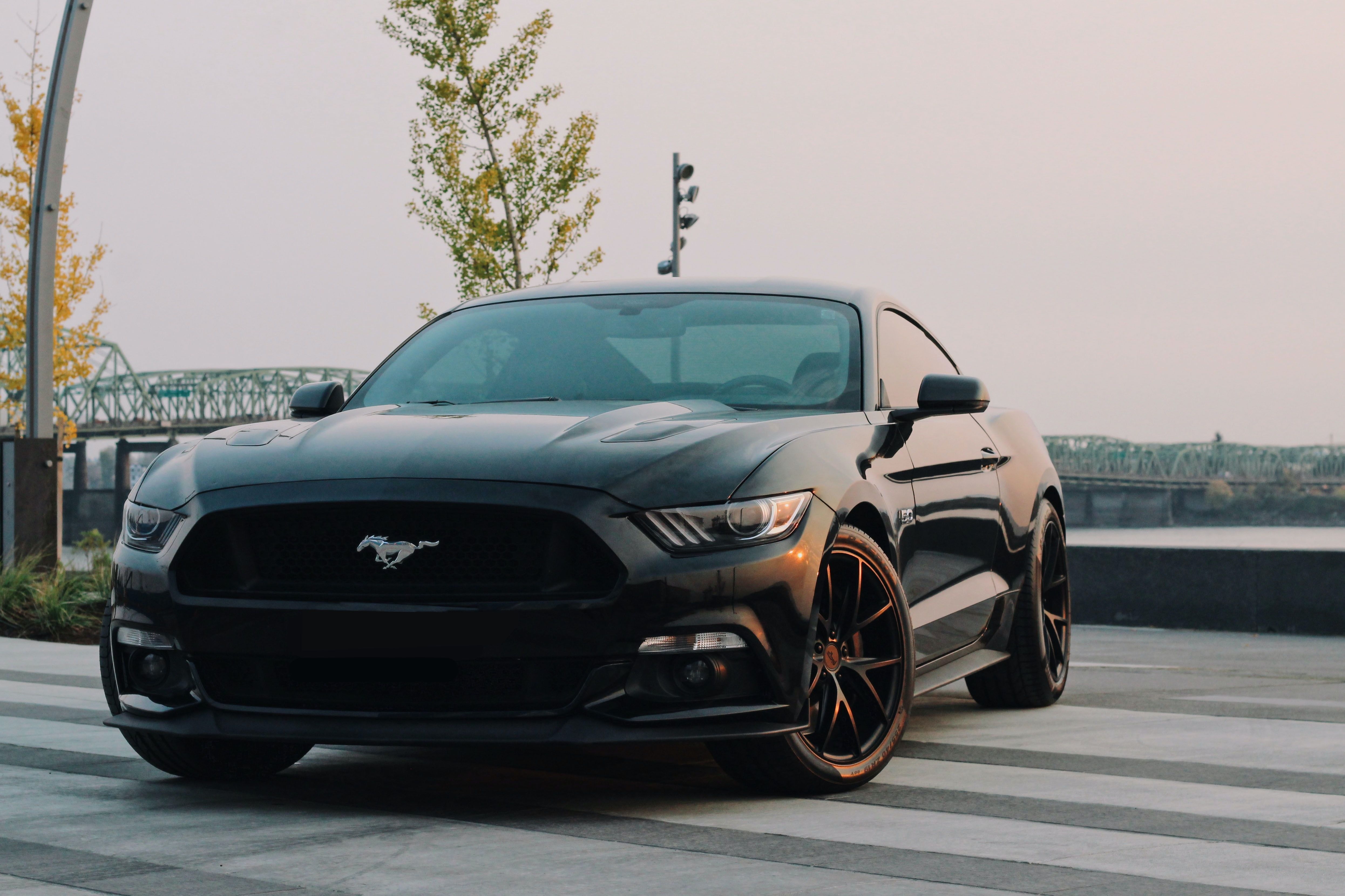 4990x3330 Ford Mustang Wallpaper, Desktop