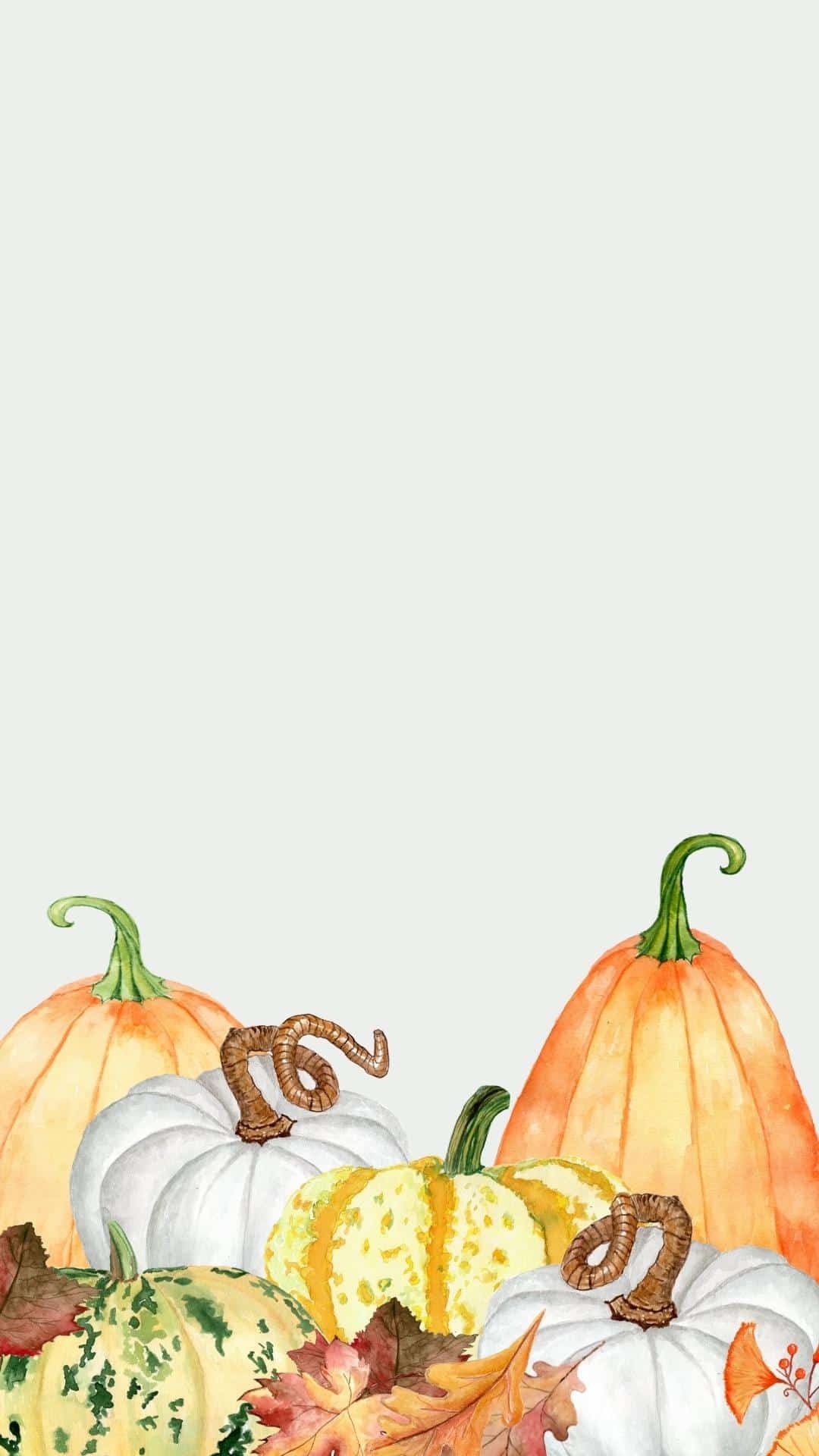 1080x1920 Fall iPhone Wallpaper Background To Download, Phone