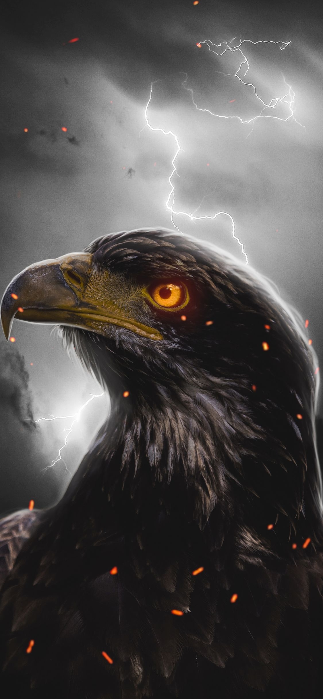 1130x2440 iPhone Eagle Wallpaper 4k HD Wallpaper, Phone