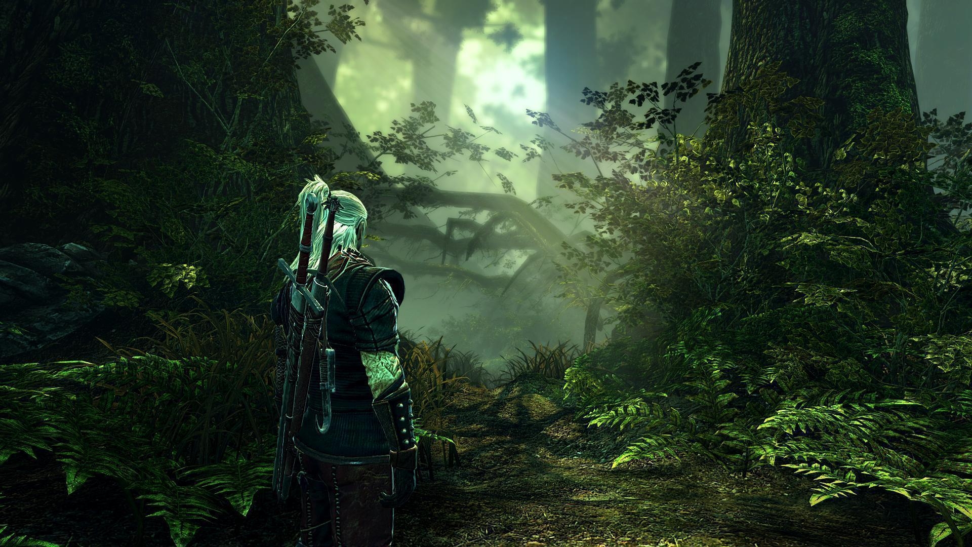 1920x1080 Review of The Witcher 2 HalfBeard&;s HUD, Desktop