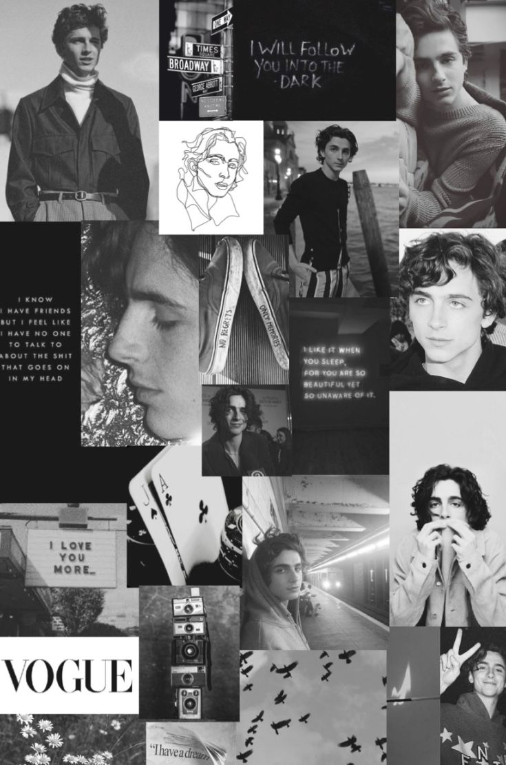 740x1110 Timothee chalamet ideas. timothee chalamet, timmy t, beautiful boys, Phone