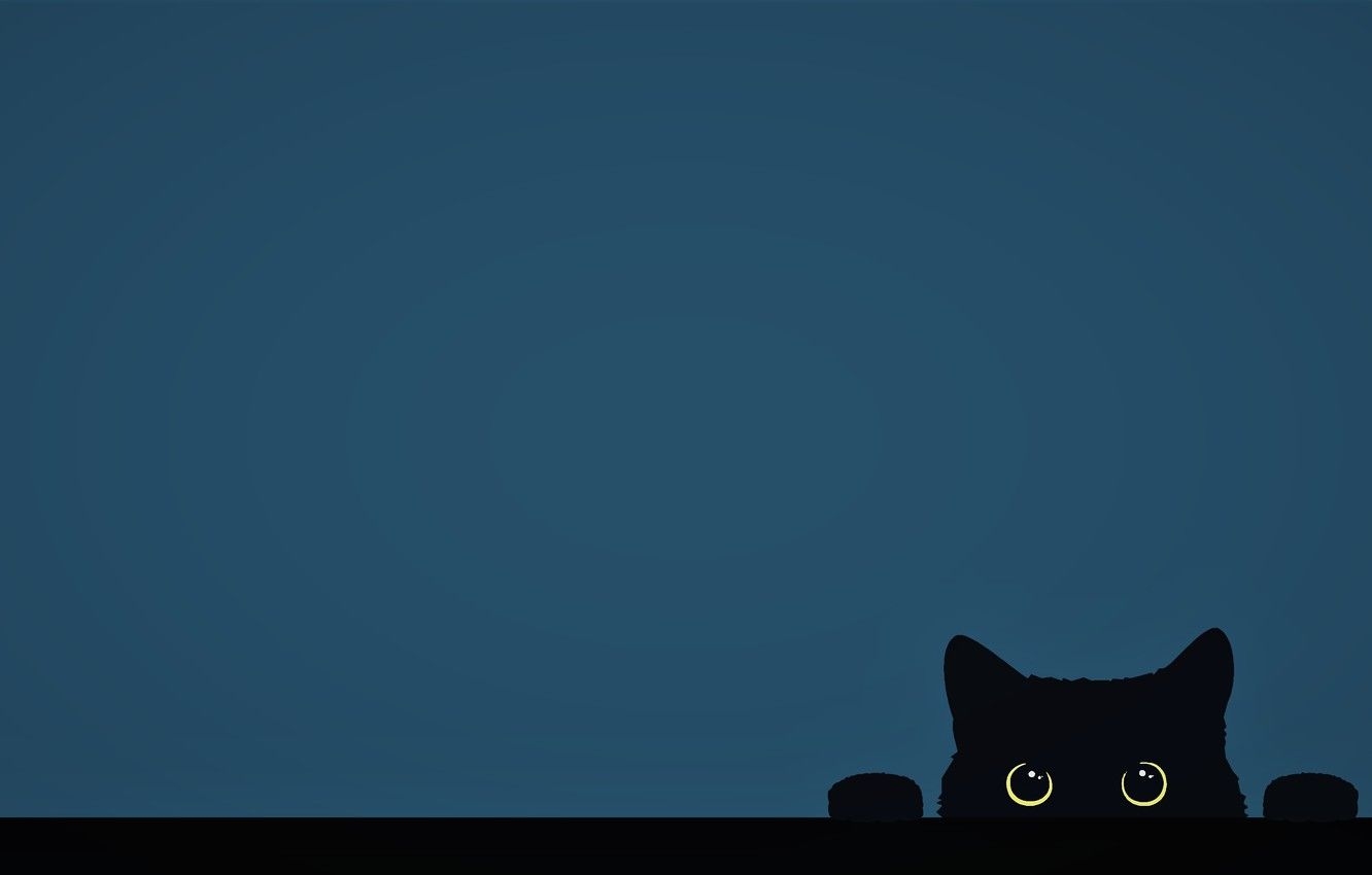 1340x850 Wallpaper minimalism, Cat, funny, digital art, artwork, cute, Desktop