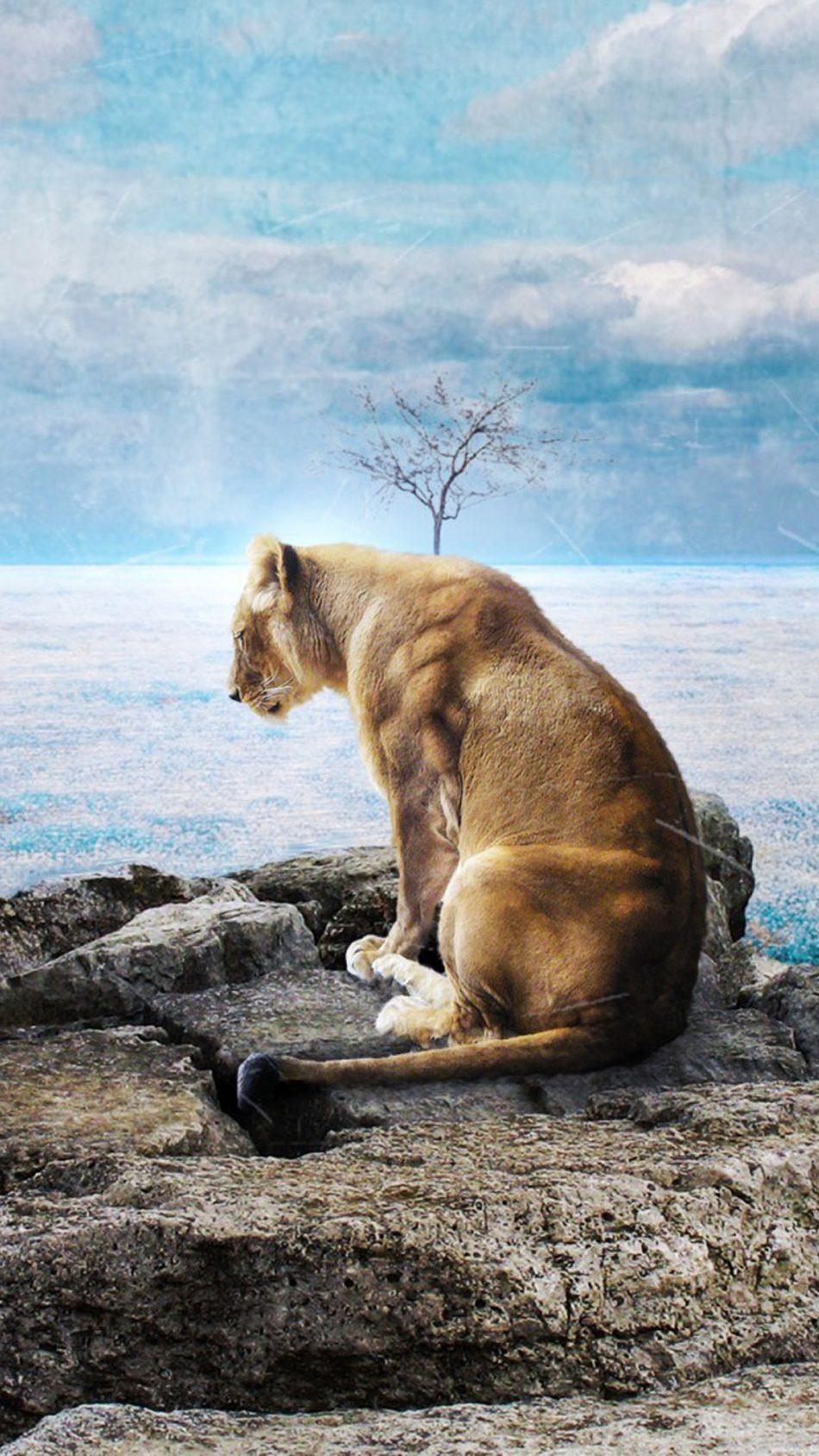 950x1690 Lone Sad Lion Free 4K Ultra HD Mobile Wallpaper, Phone