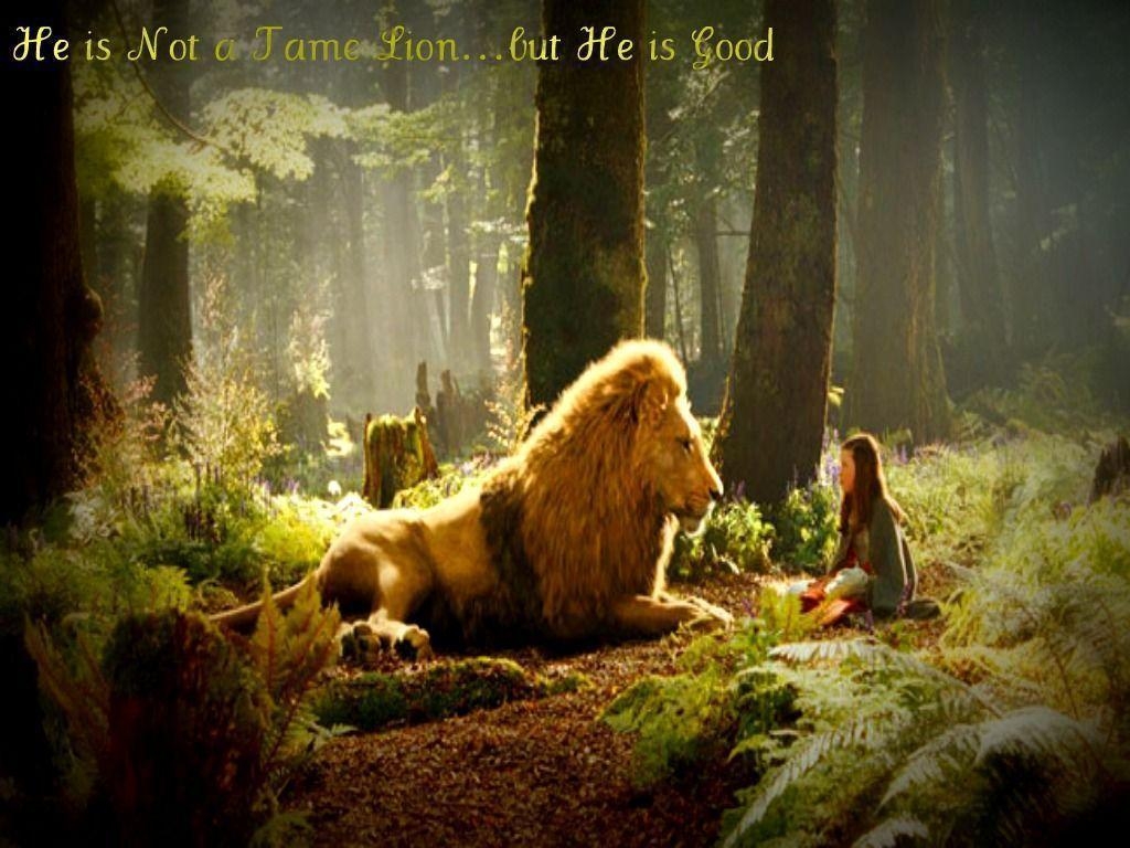 1030x770 image For > Aslan And Lucy Quotes, Desktop