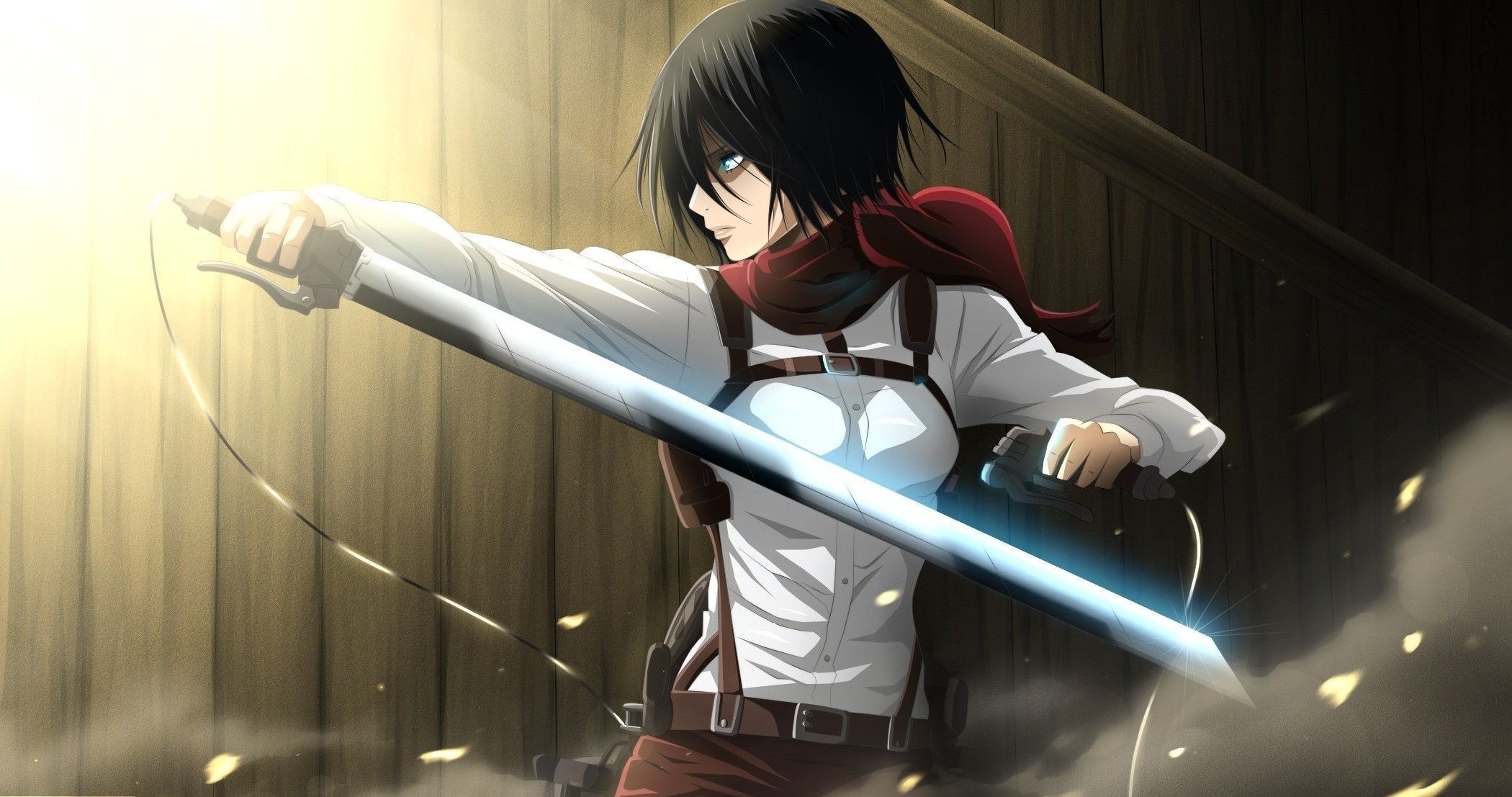 2100x1110 Mikasa Computer Wallpaper, Desktop Backgroundx1107. Attack on titan, Attack on titan anime, Mikasa, Desktop