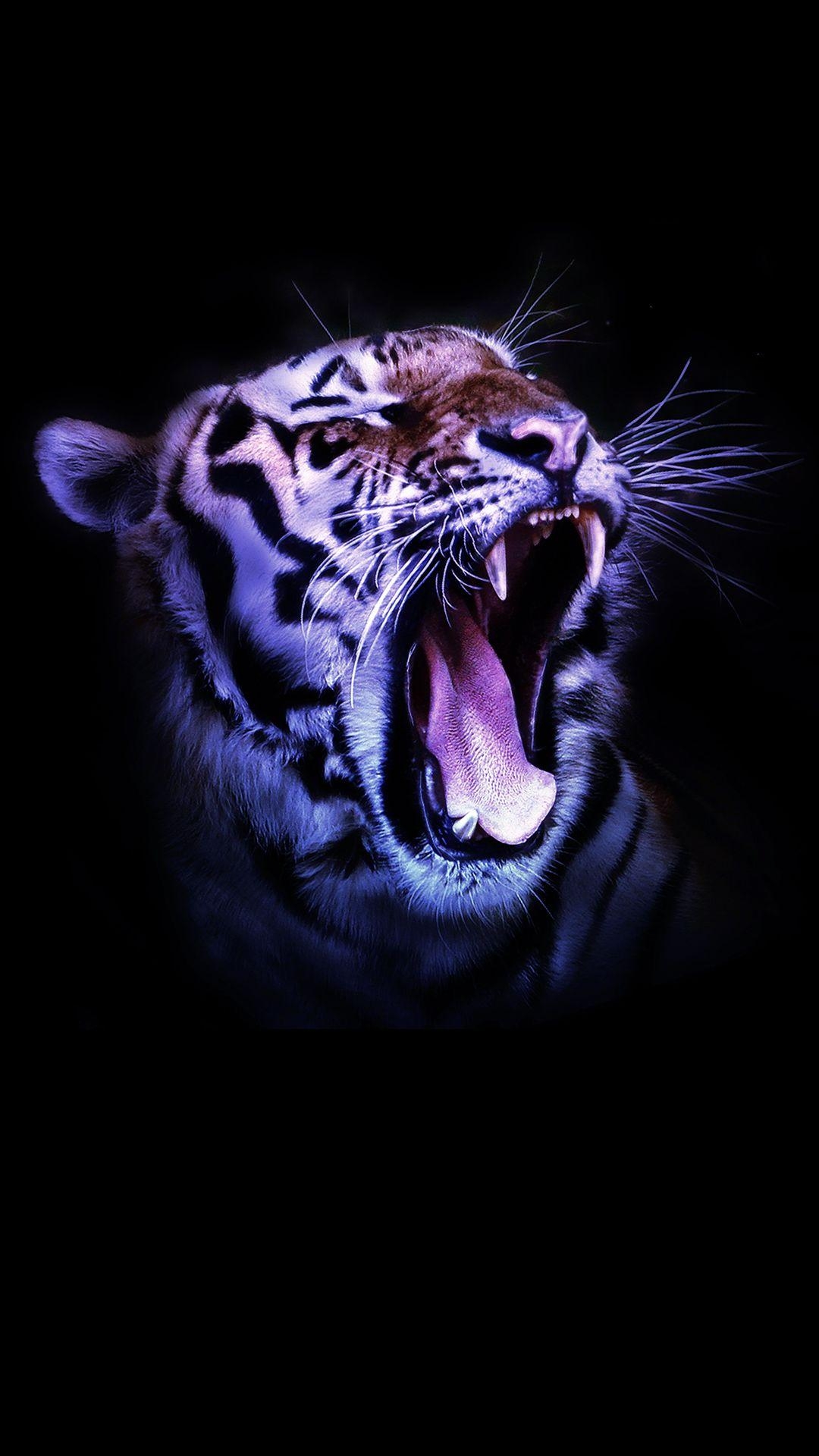 1080x1920 Tiger Phone Wallpaper Free Tiger Phone Background, Phone