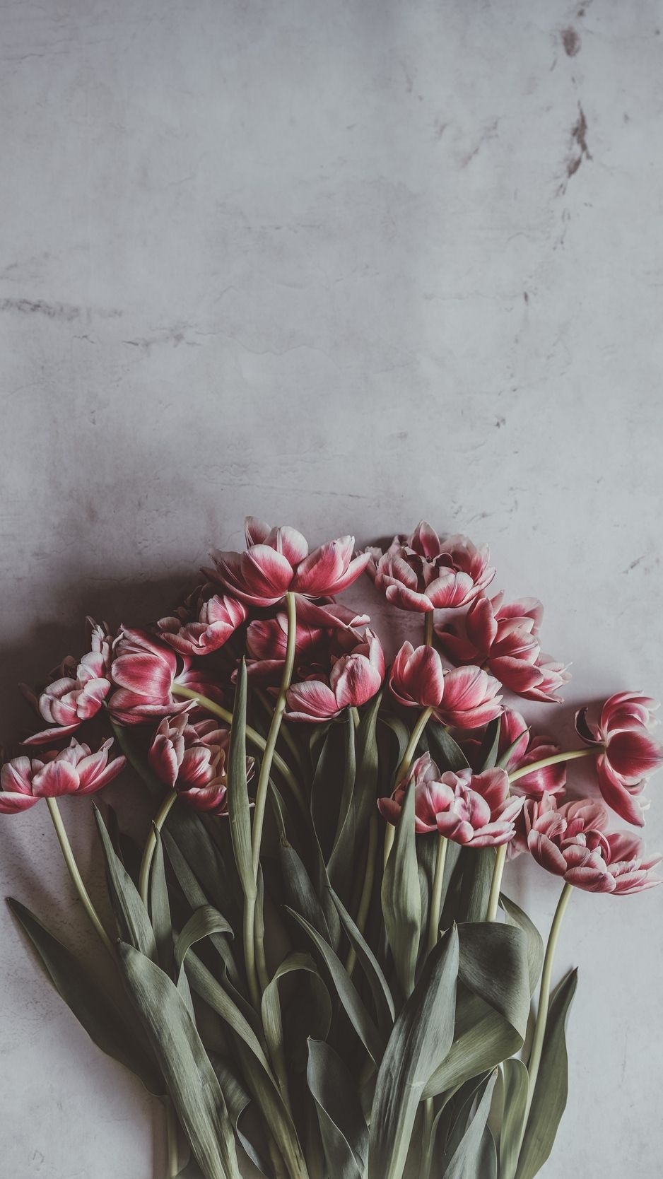 940x1670 Download wallpaper  tulips, bouquet, flowers, buds, stems, Phone