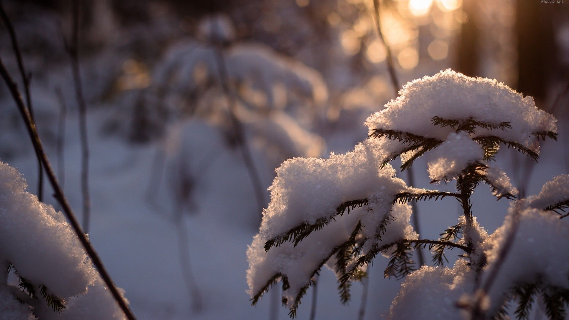 1920x1080 3D Winter Wallpaper, Desktop