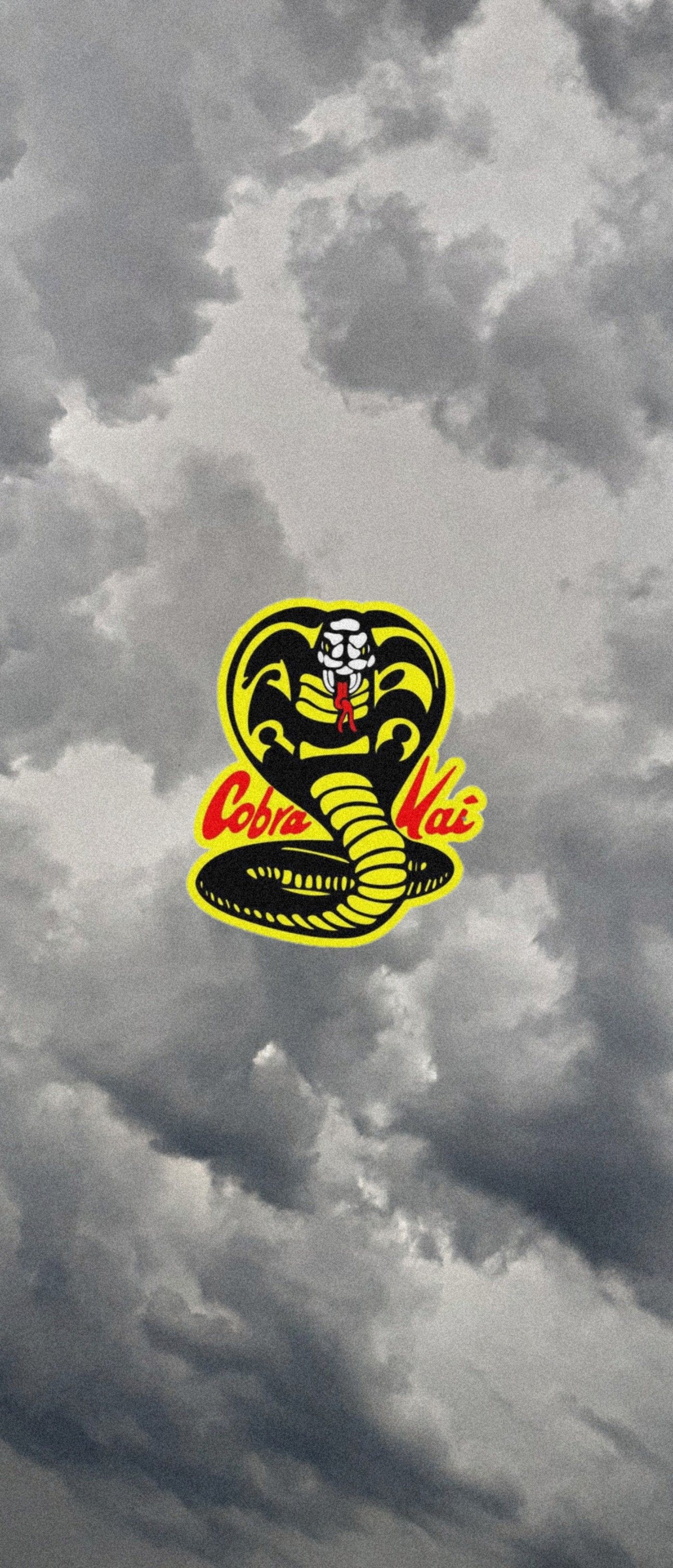 1400x3270 Cobra Kai ideas. karate, karate kid cobra kai, kid cobra, Phone