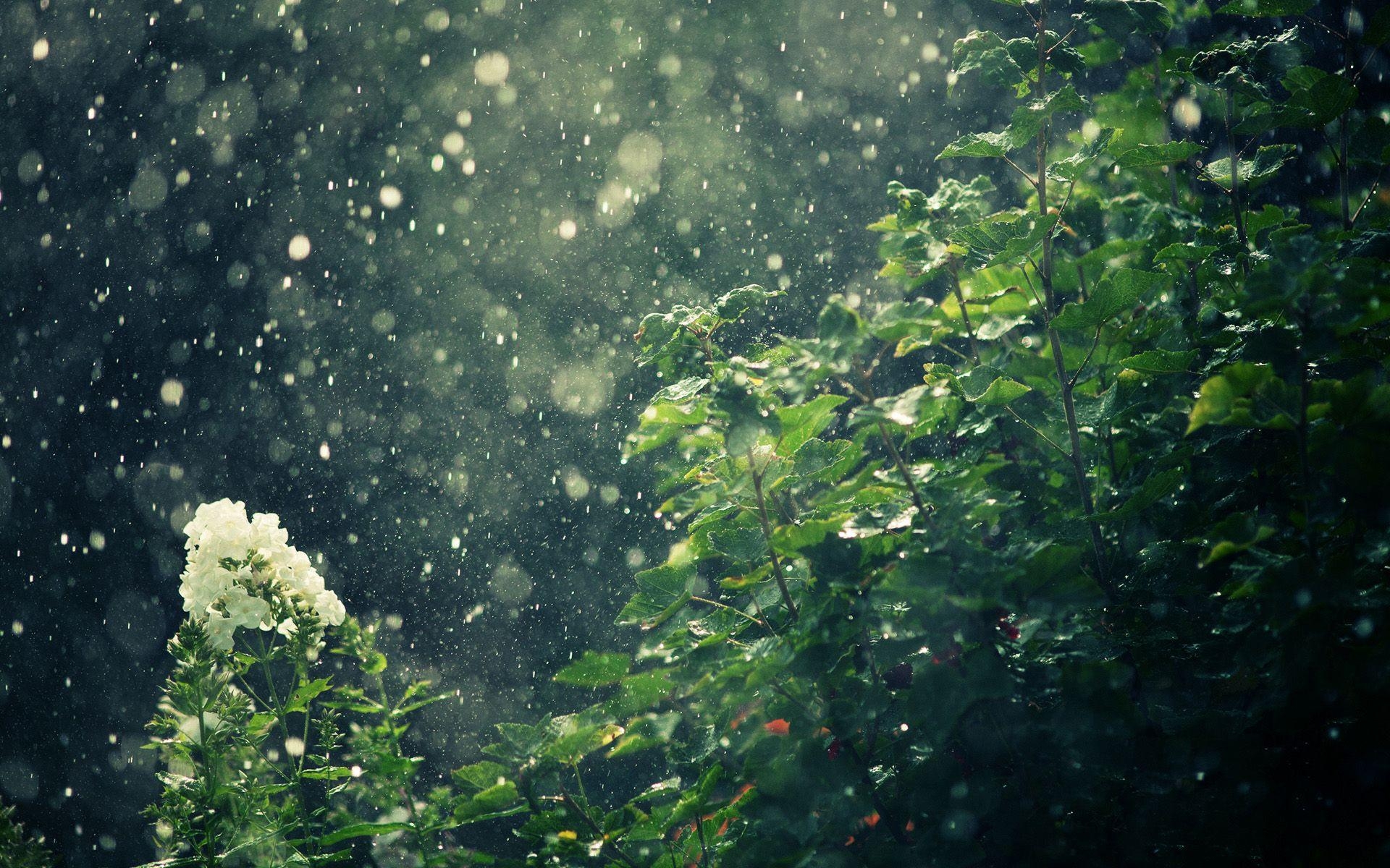 1920x1200 Photography Rain HD Wallpaper, Desktop