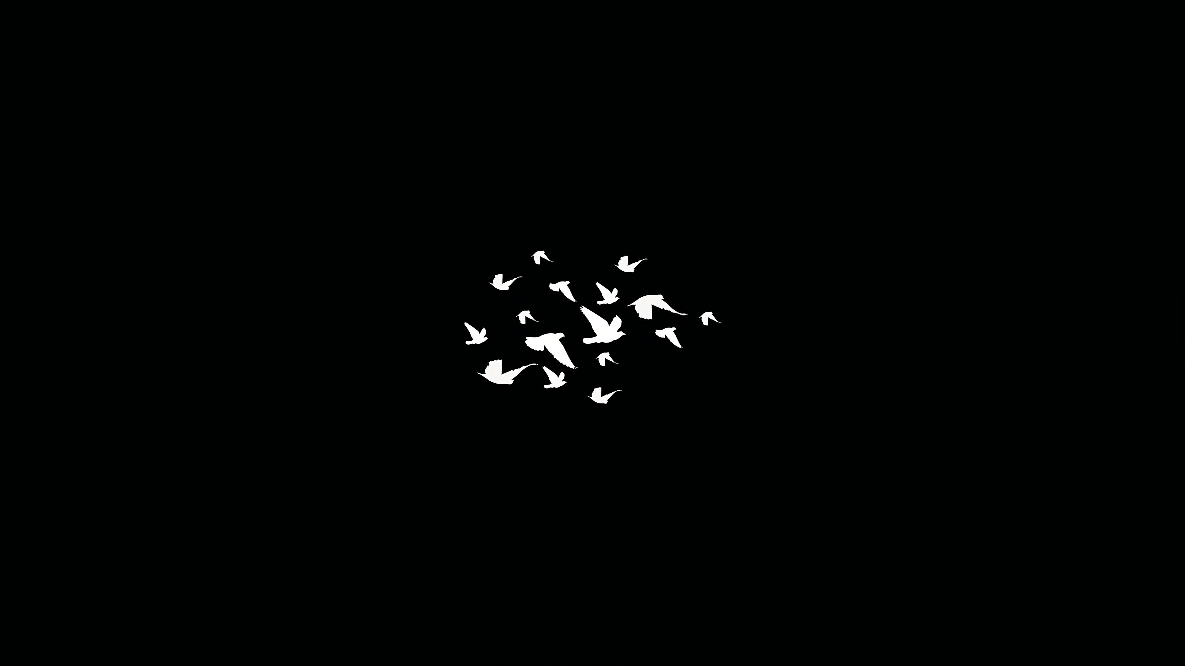 3840x2160 Birds Flying Minimalist Dark 4k, HD Artist, 4k Wallpaper, Image, Desktop