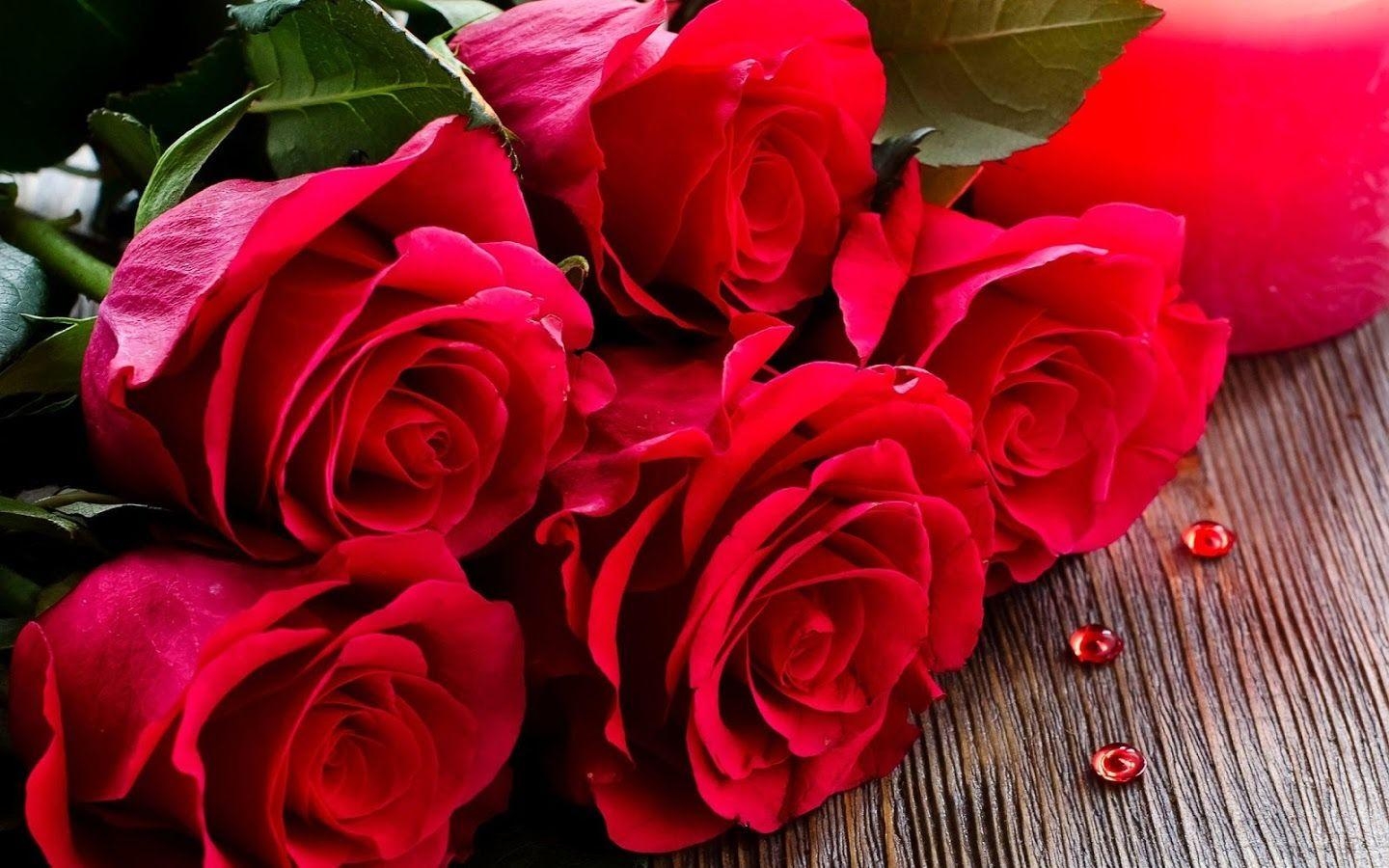 1440x900 Red Rose Wallpaper Apps on Google Play, Desktop