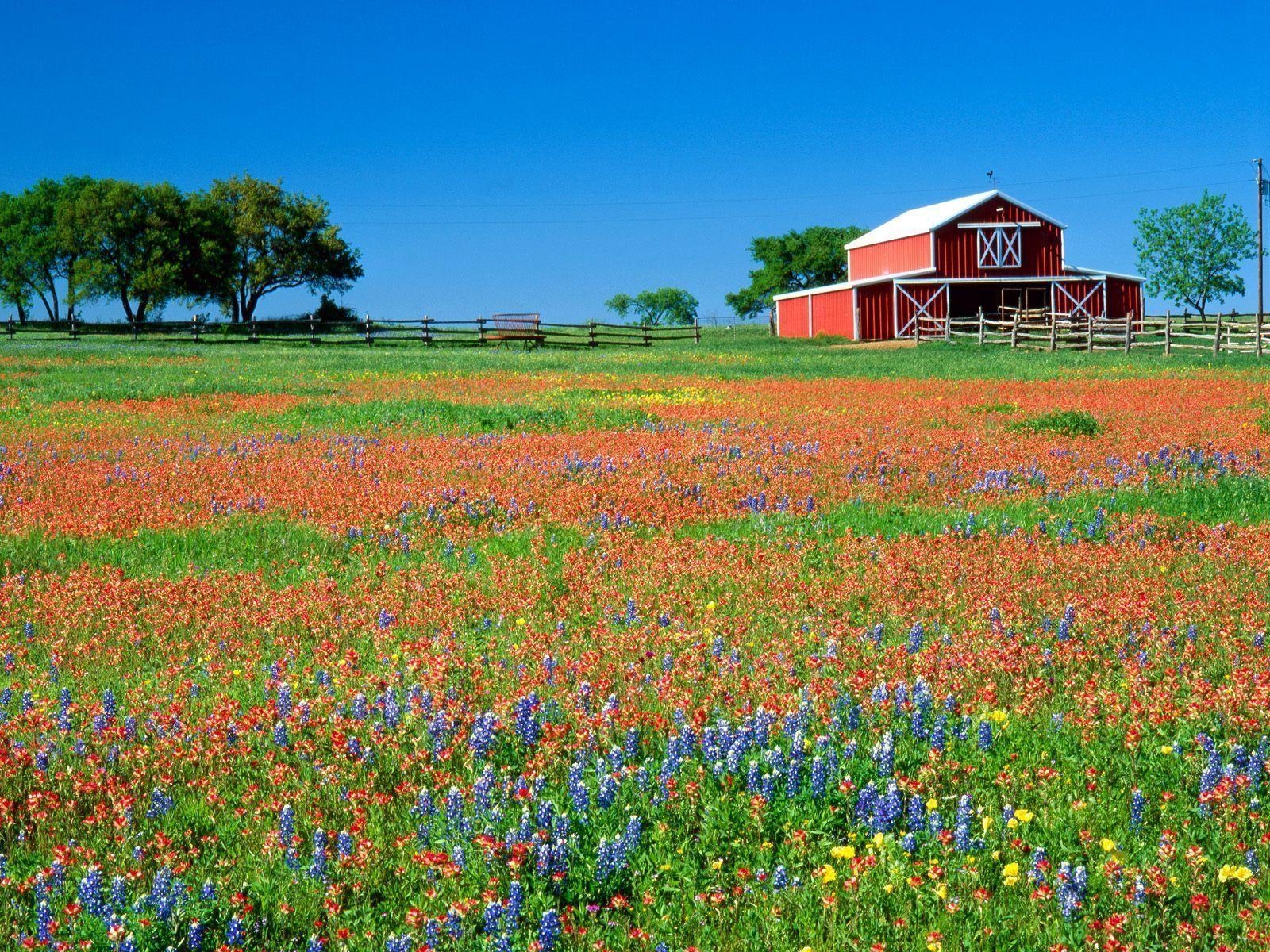 1600x1200 Texas Country Landscape Wallpaper, Desktop