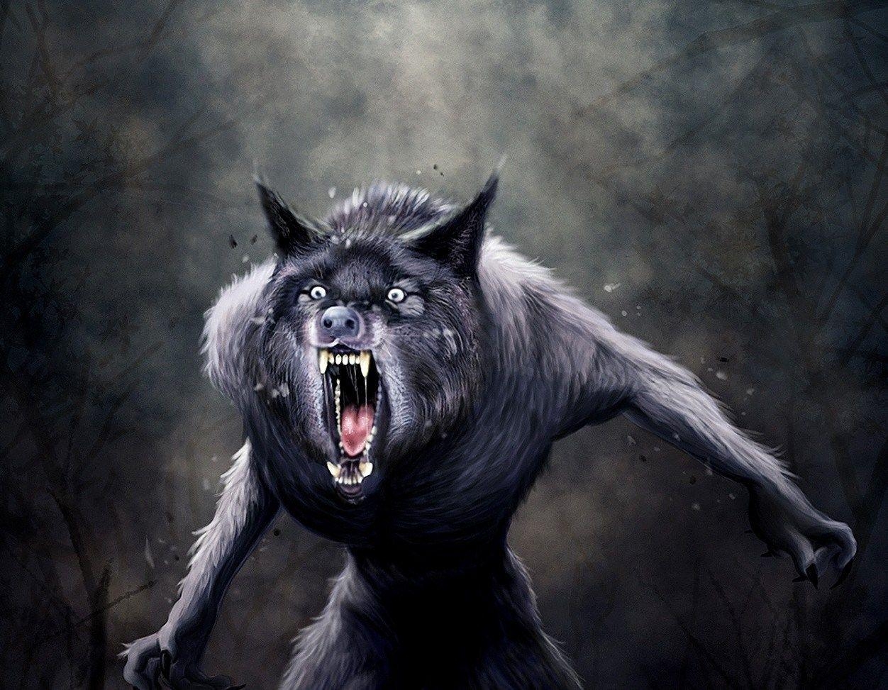 1260x980 Werewolf wallpaper, Dark, HQ Werewolf pictureK Wallpaper, Desktop