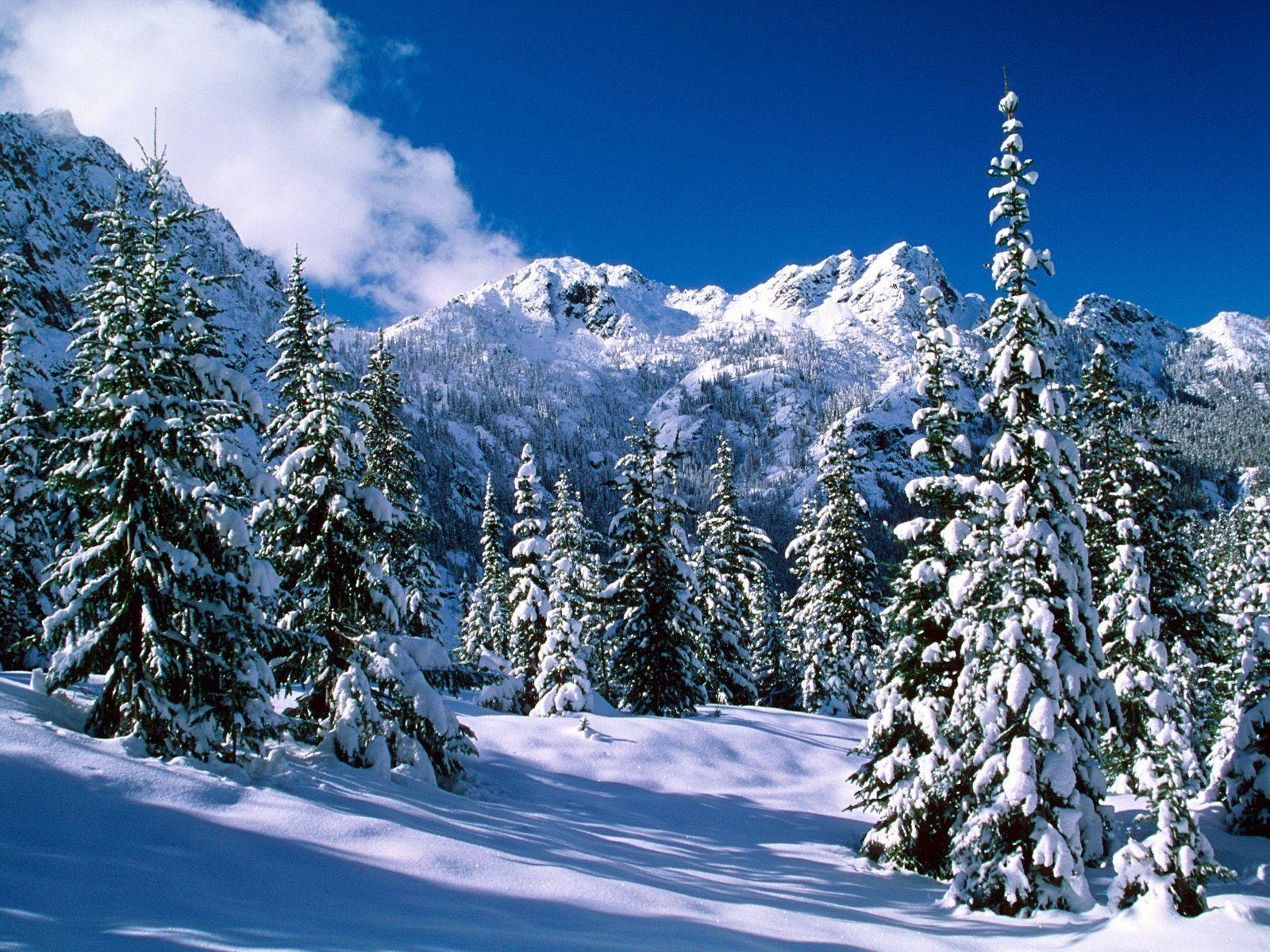 1600x1200 1600*1200 Winter wonderland, Dreamy Snow Scene wallpaper, Desktop