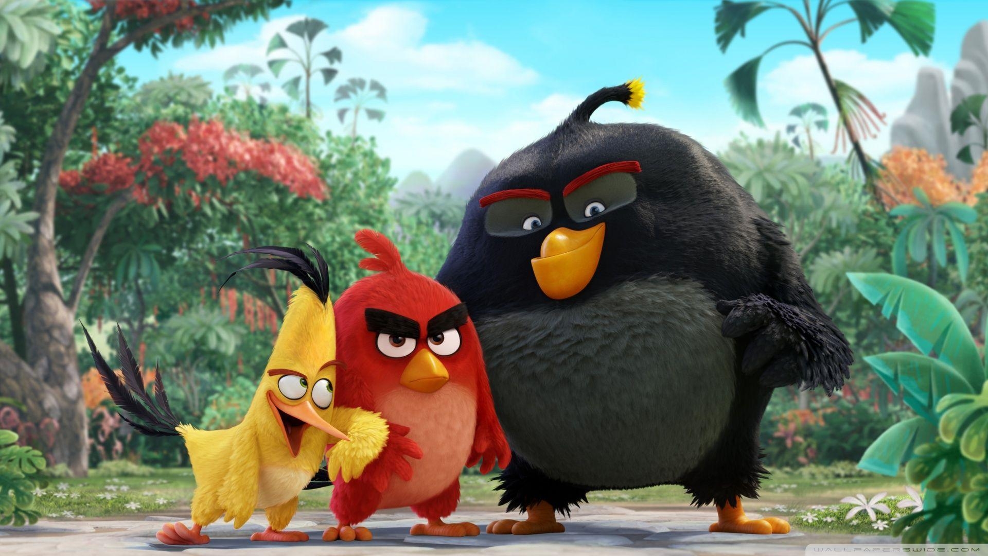 1920x1080 Angry Birds Movie 2016 ❤ 4K HD Desktop Wallpaper for 4K Ultra HD, Desktop